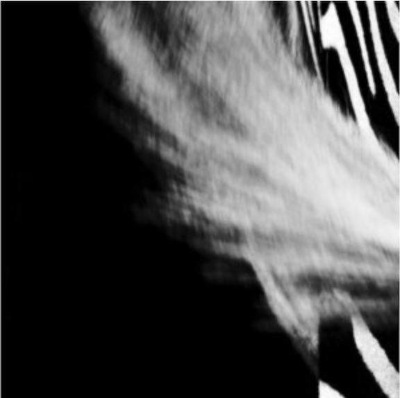 Zoom Class Image Smaller.png