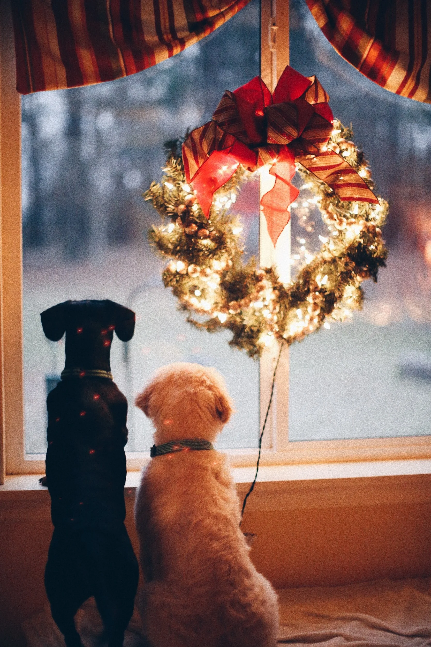 Yuletide carol: Trust yourself