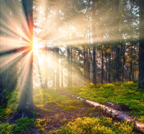 Life’s magic emerges when we reconnect — to ourselves, to others, and to shared purpose