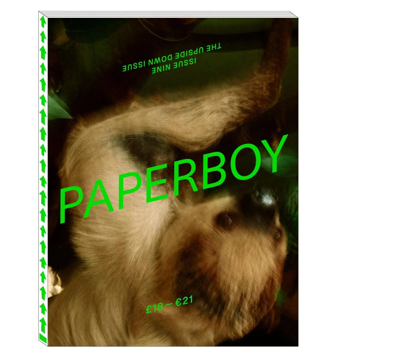 Issue 9 Cover Graphic for Landing Page.jpg