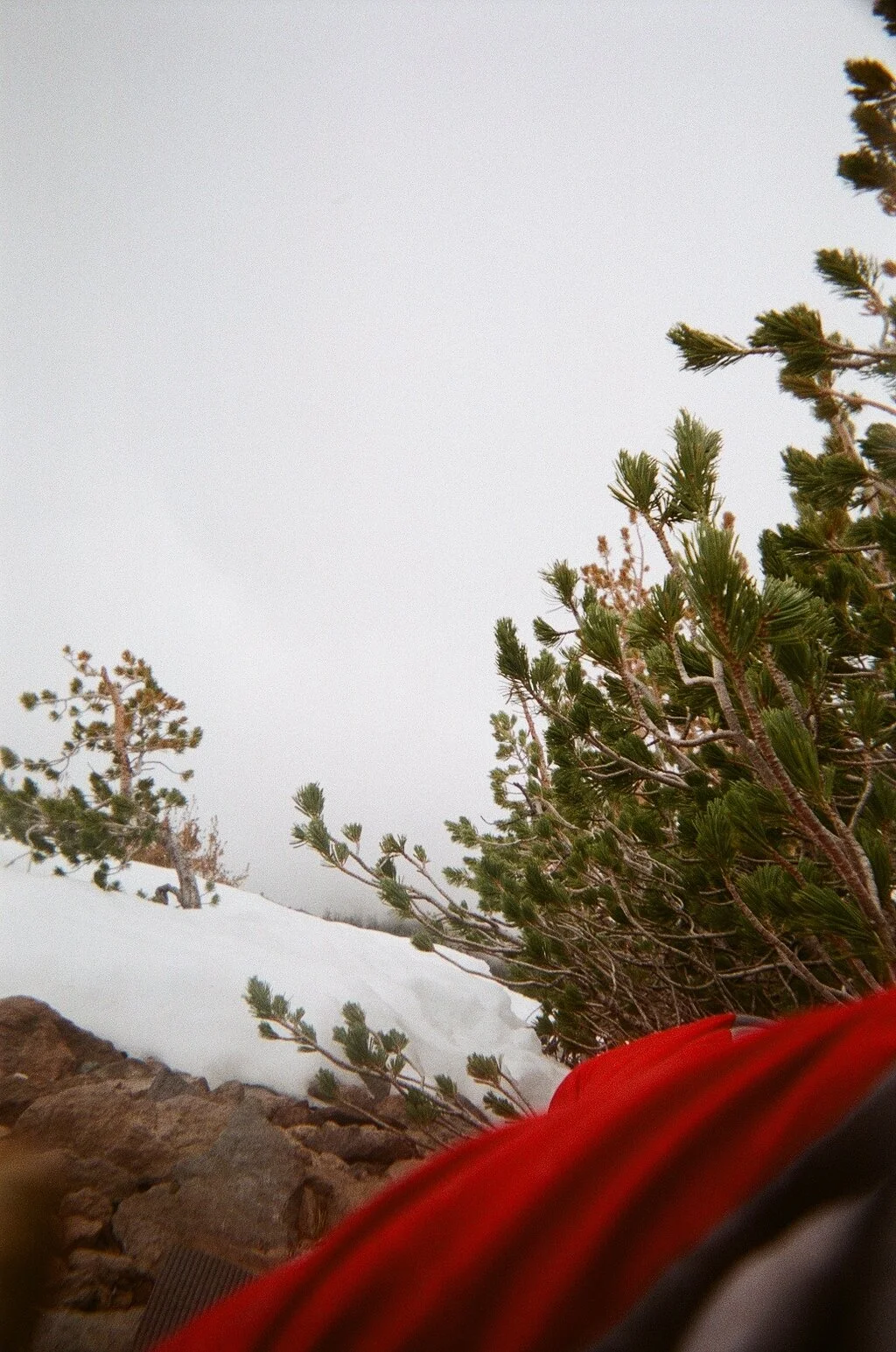 Shelter. Mount Shasta, California. 