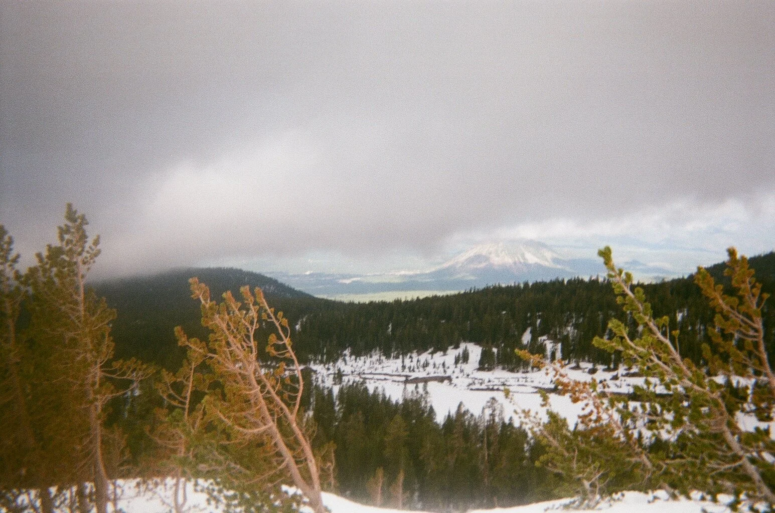 Views. Mount Shasta, California.
