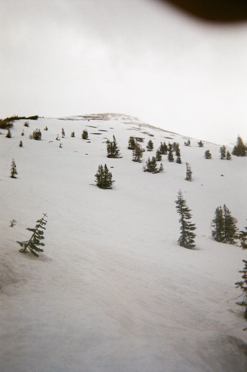 Climb. Mount Shasta, California.