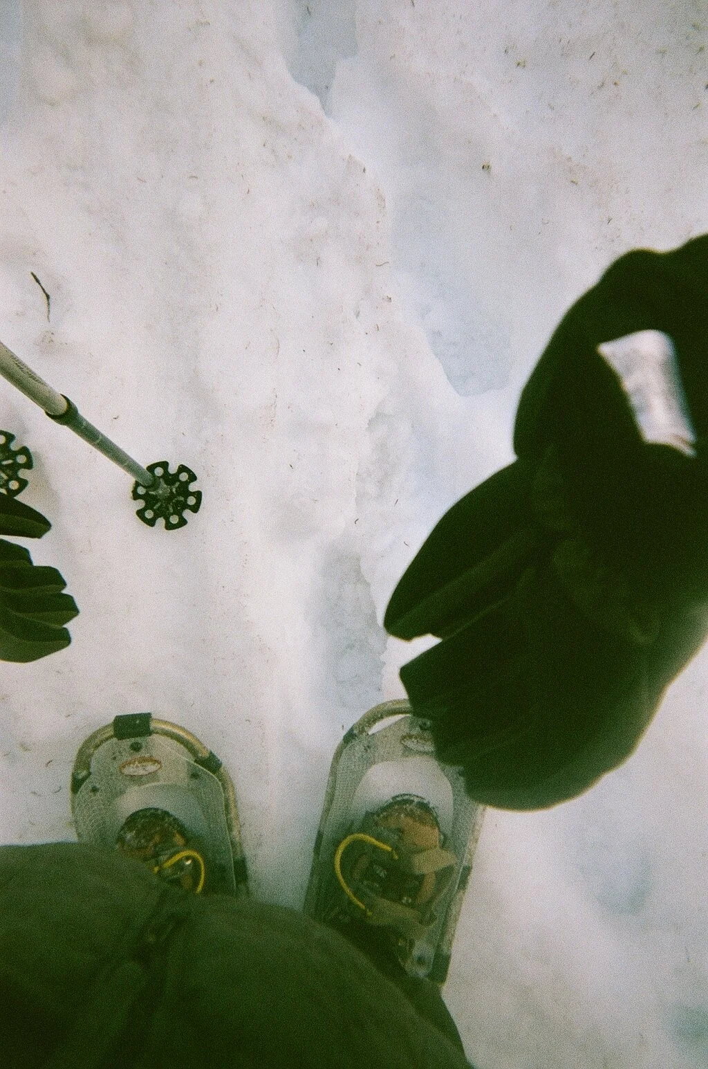 Gear. Mount Shasta, California.