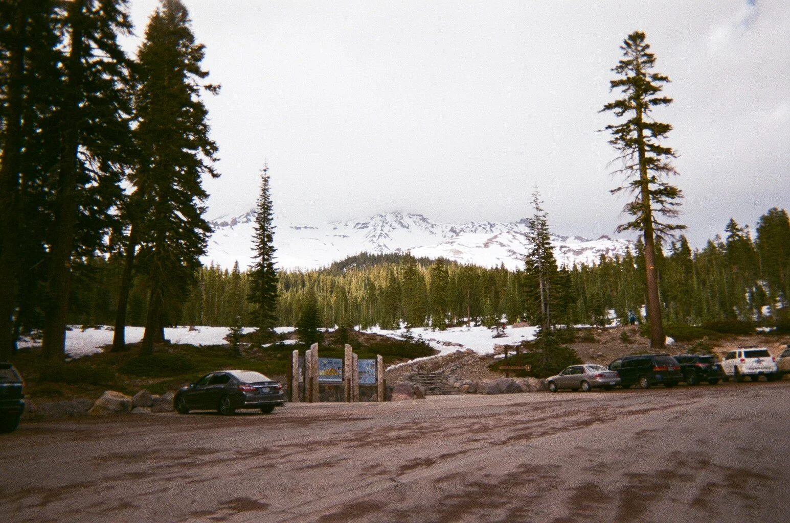 Mount Shasta.