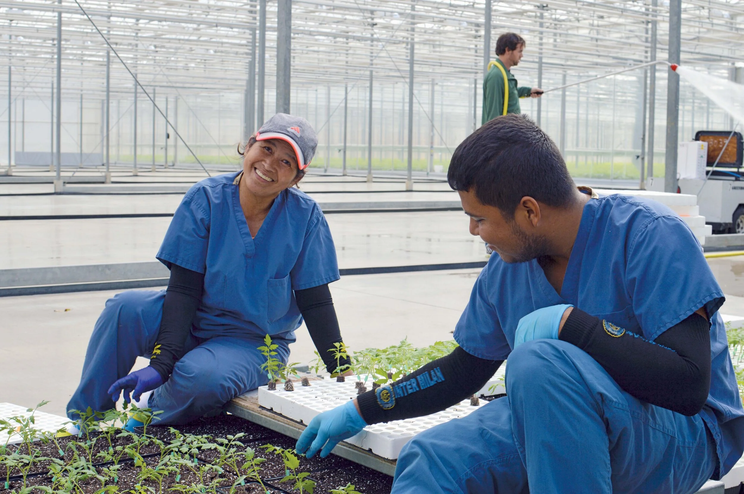 Careers — Ontario Plants Propagation