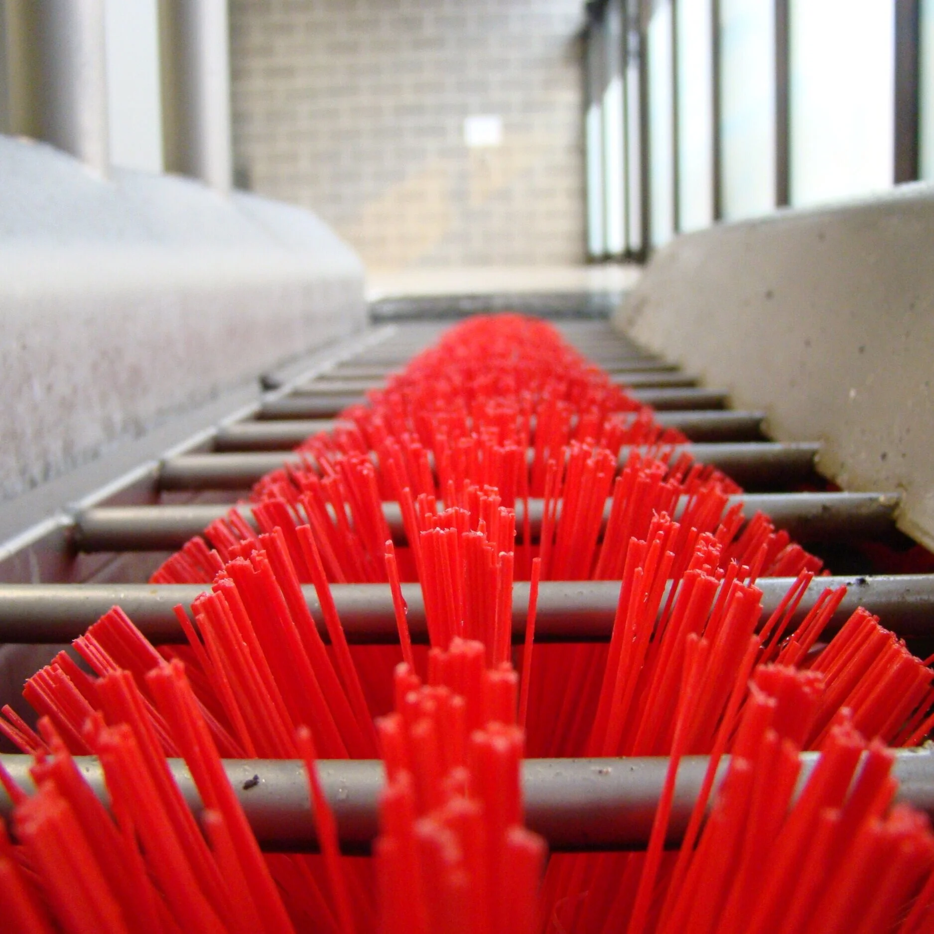 Biosecurity & Hygiene — Ontario Plants Propagation