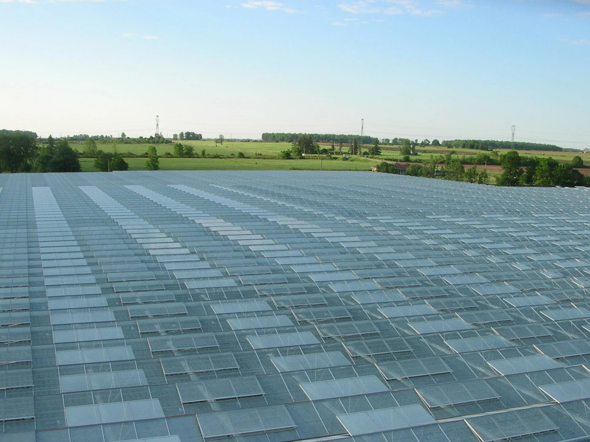 Sustainability & Innovation — Ontario Plants Propagation