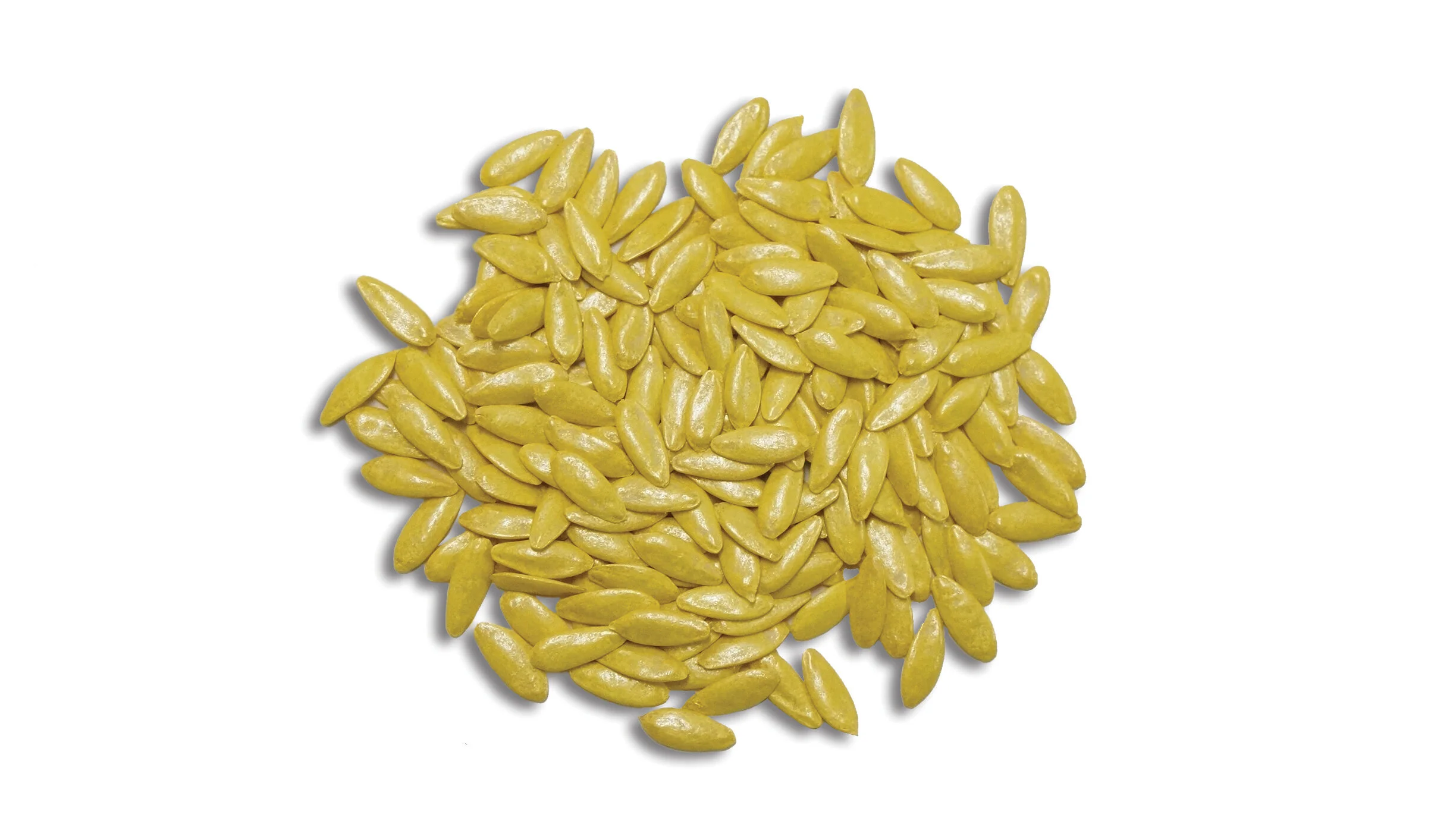 About Us — Ontario Plants Propagation