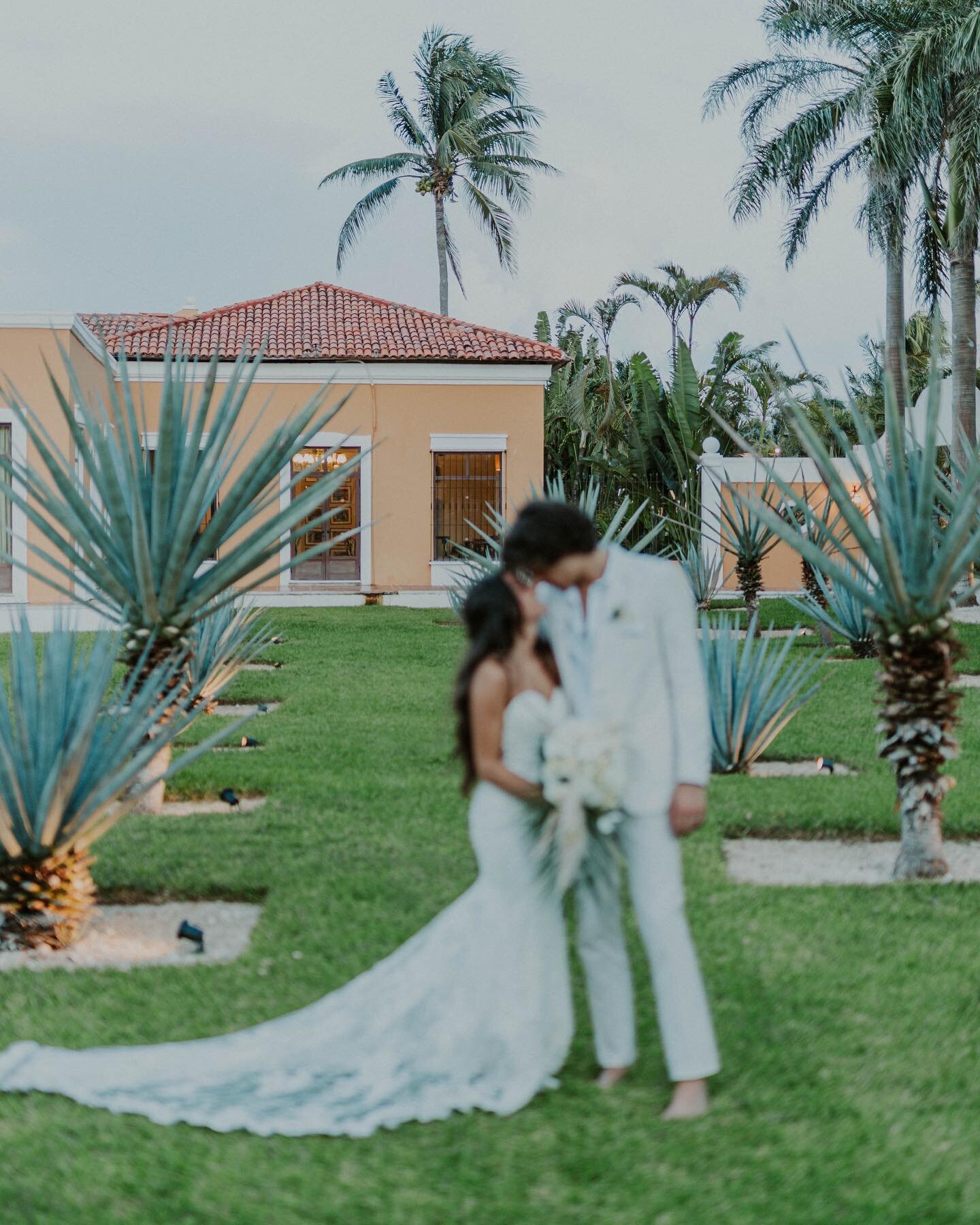 @dreamsresorts was so beautiful and made for some awesome photos of this wonderful couple!

Videographer: @sealoveweddingfilms
