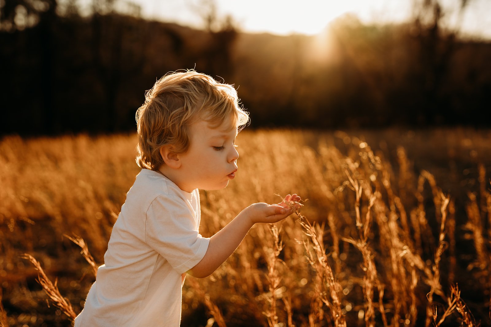 Toddler Boy Tall Grass Sunset.jpg