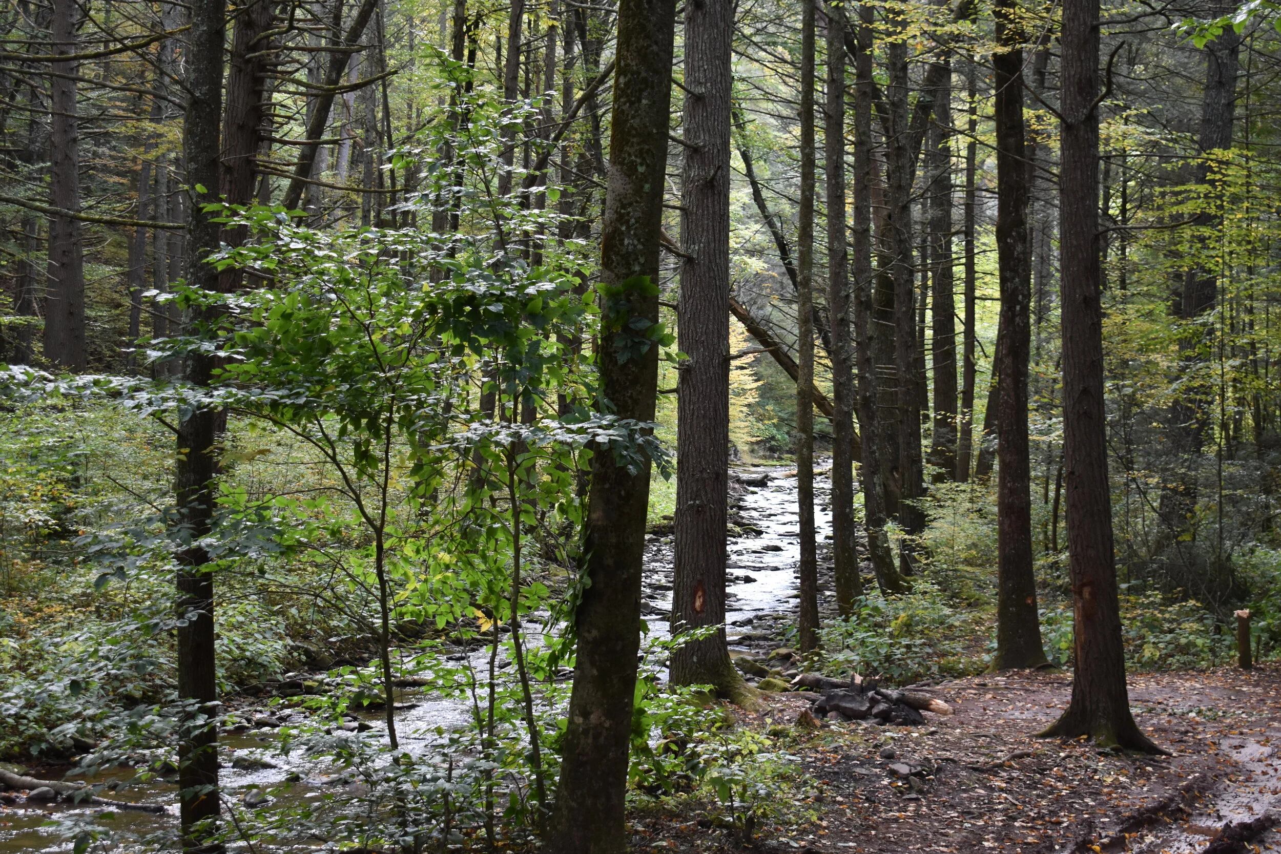 DSC_5620.jpg