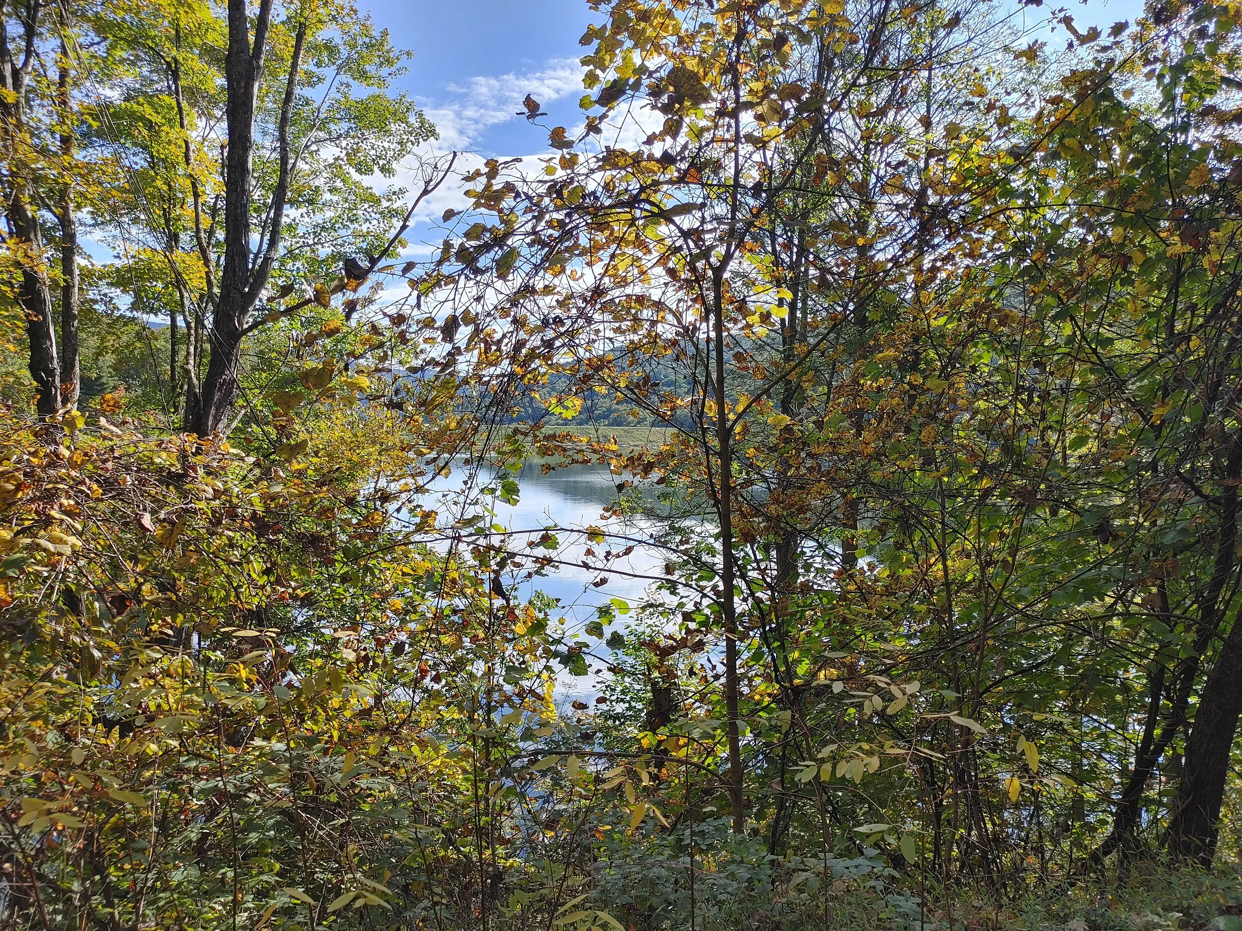 20201003_101031_HDR.jpg