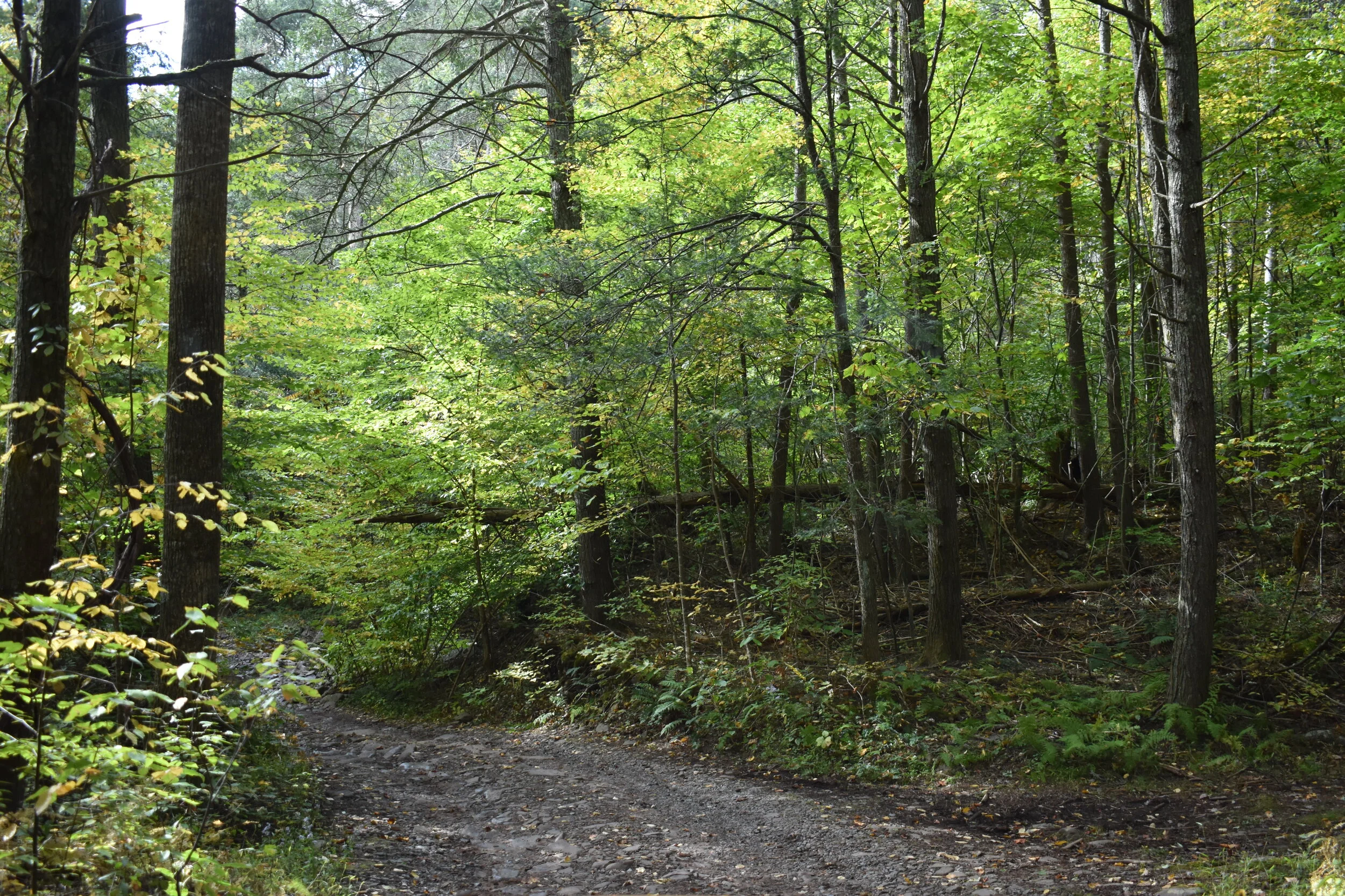 DSC_5623.jpg