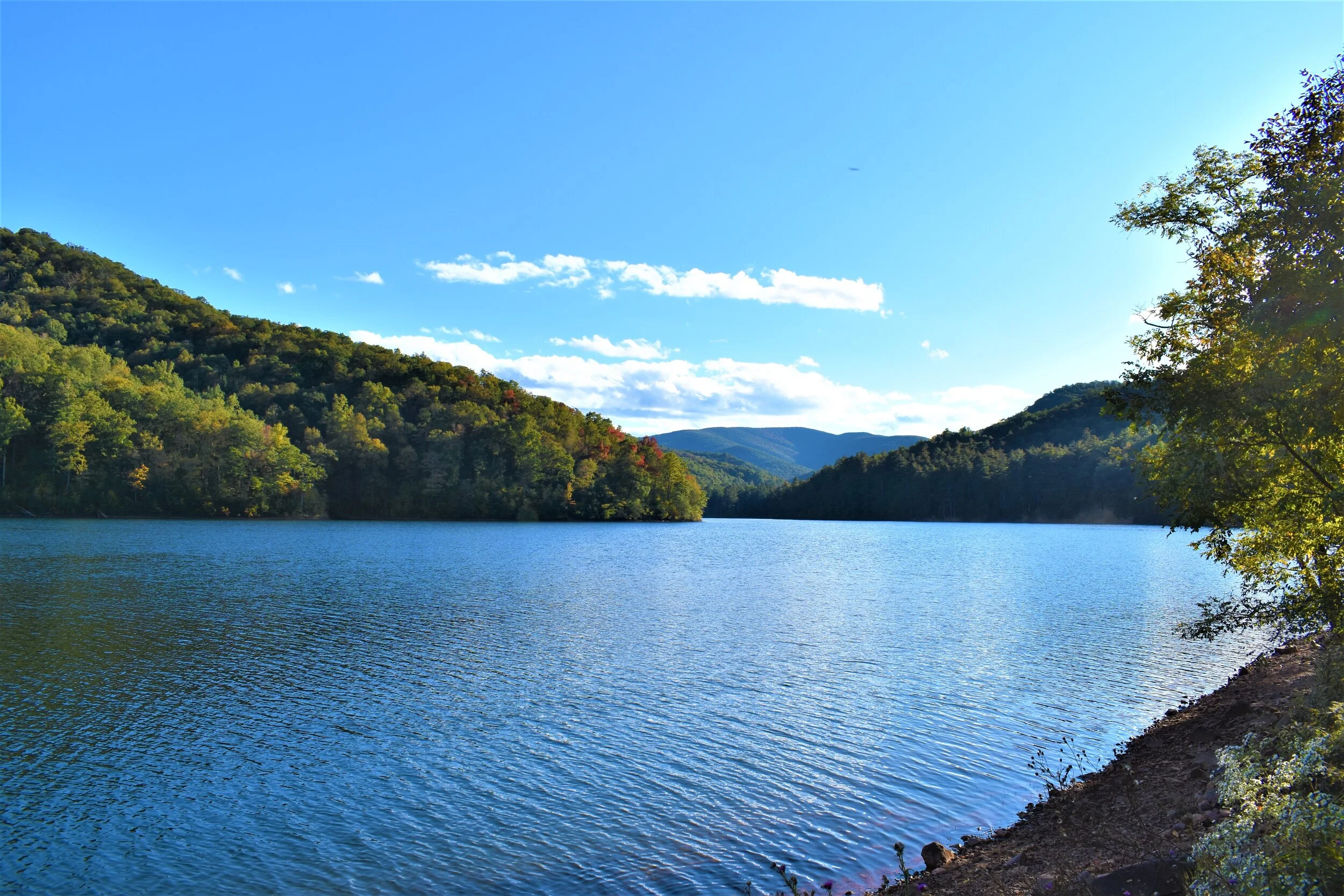 DSC_5833.jpg