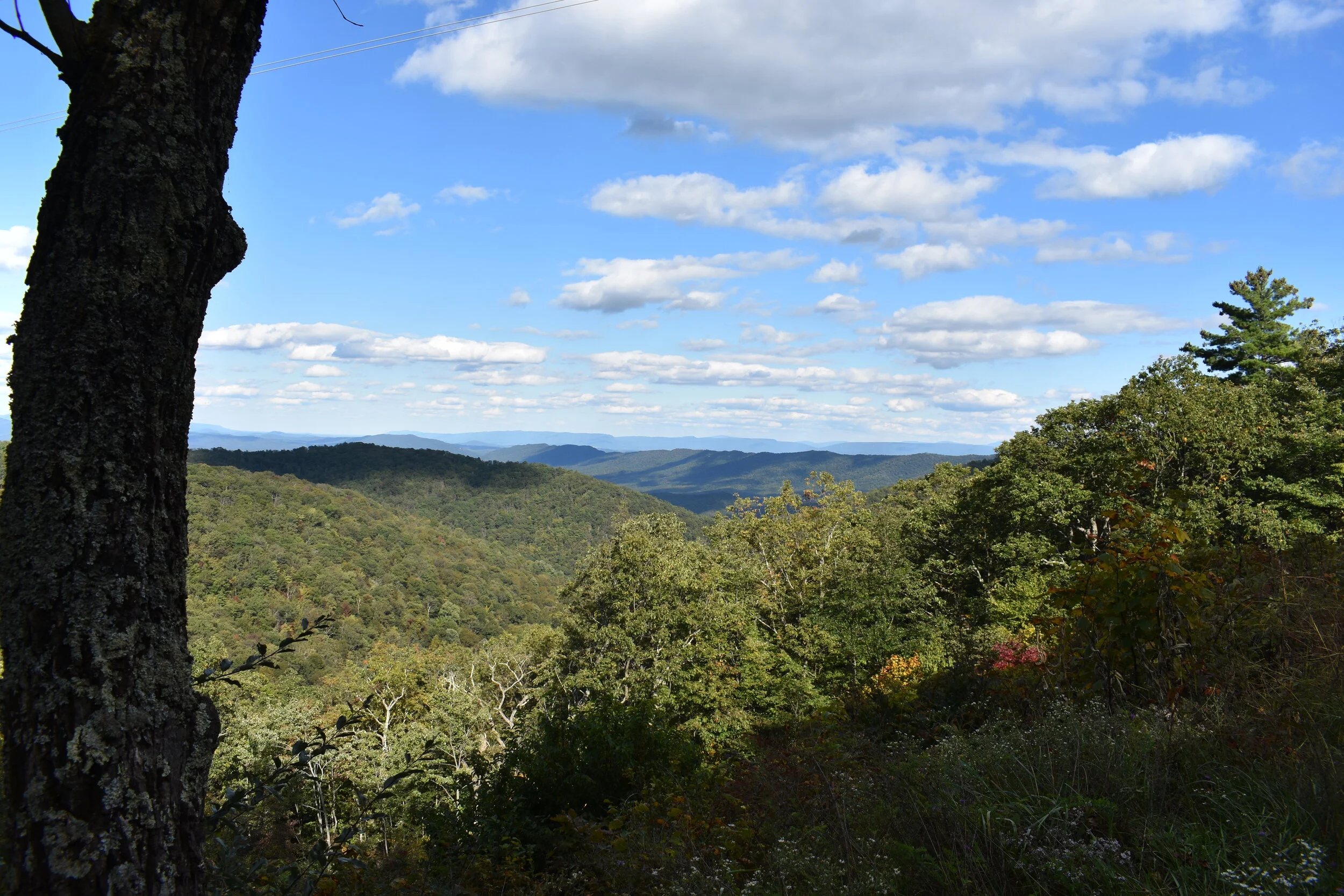 DSC_5795.jpg