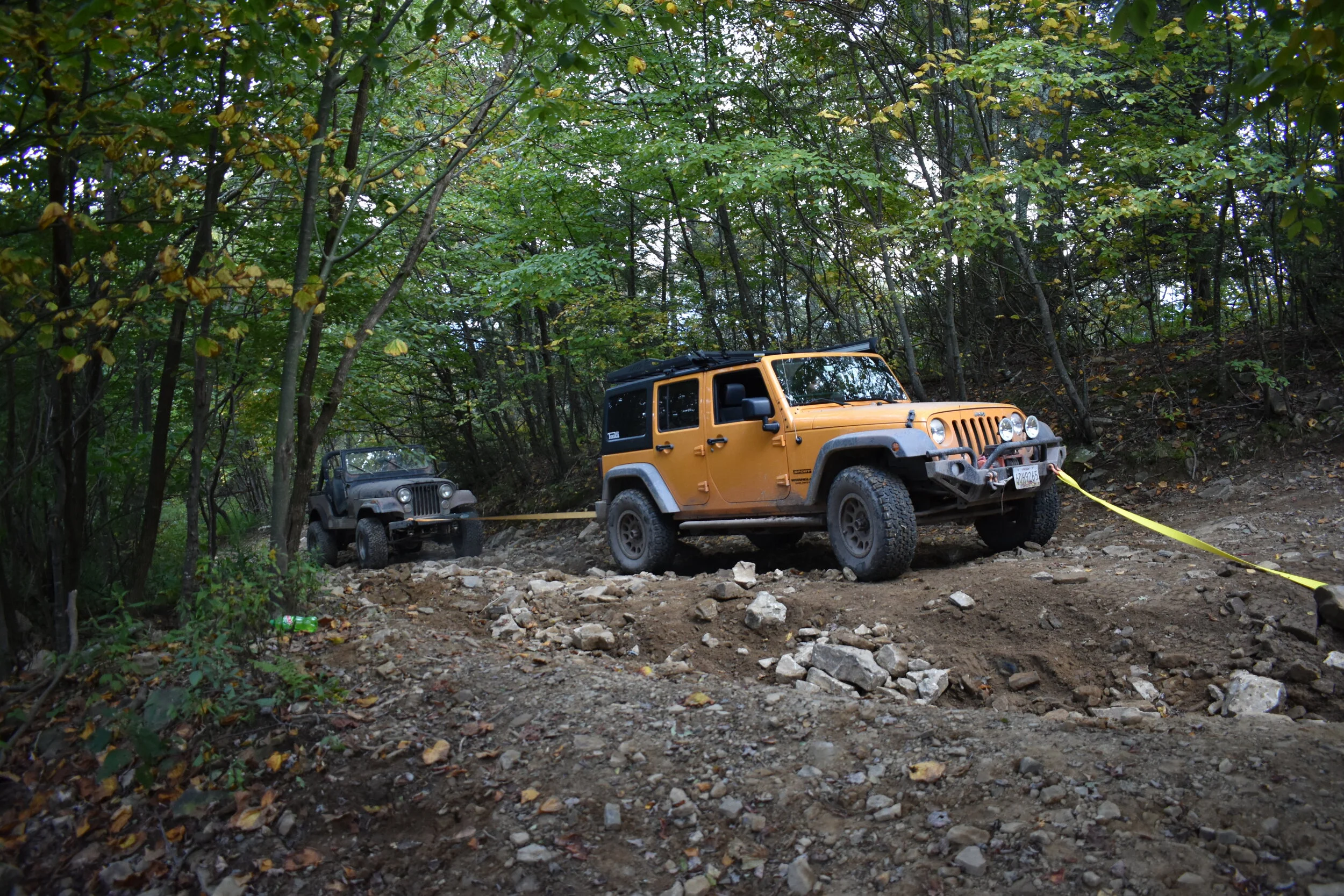 DSC_6006.jpg