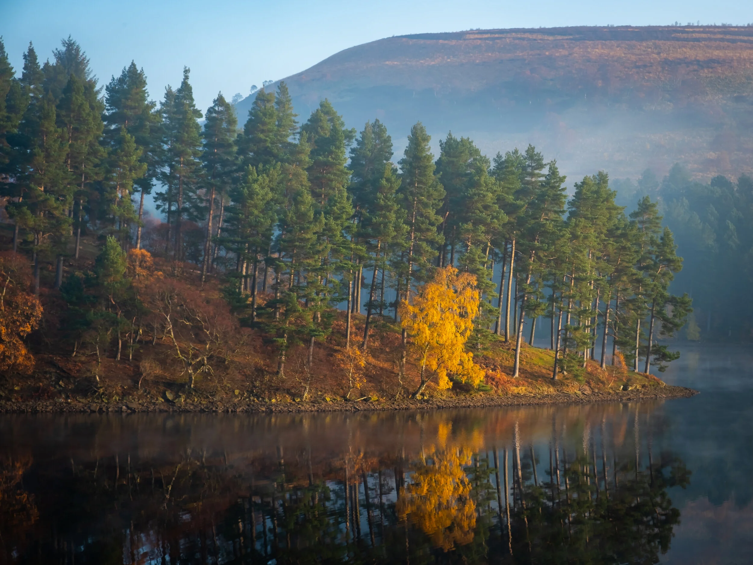 Derwent Autumn Leaves