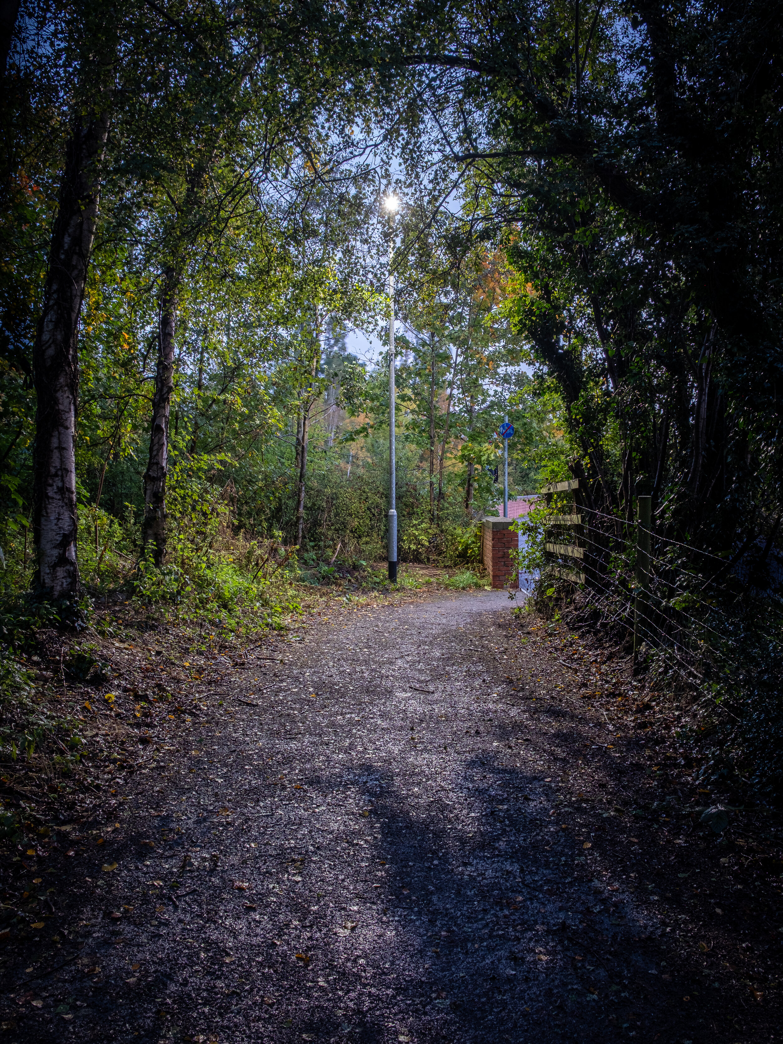 Crick Woodland Path