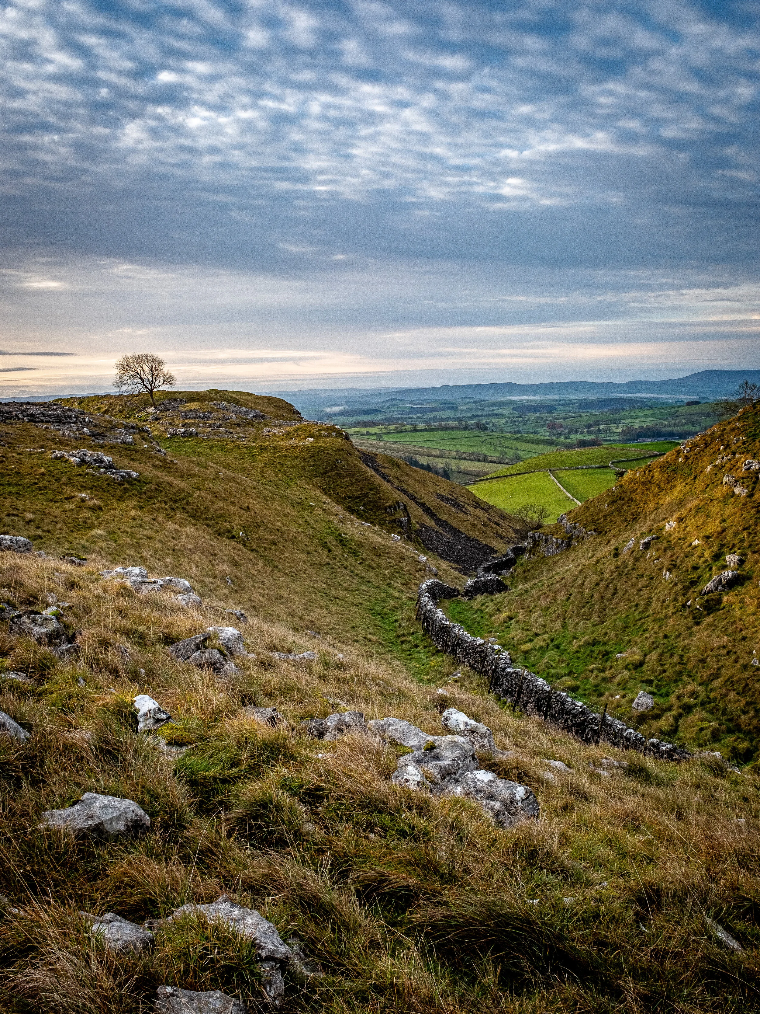 Dry stone wall, Malham