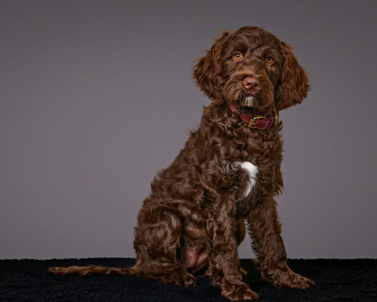 Therapy in Campbell, CA