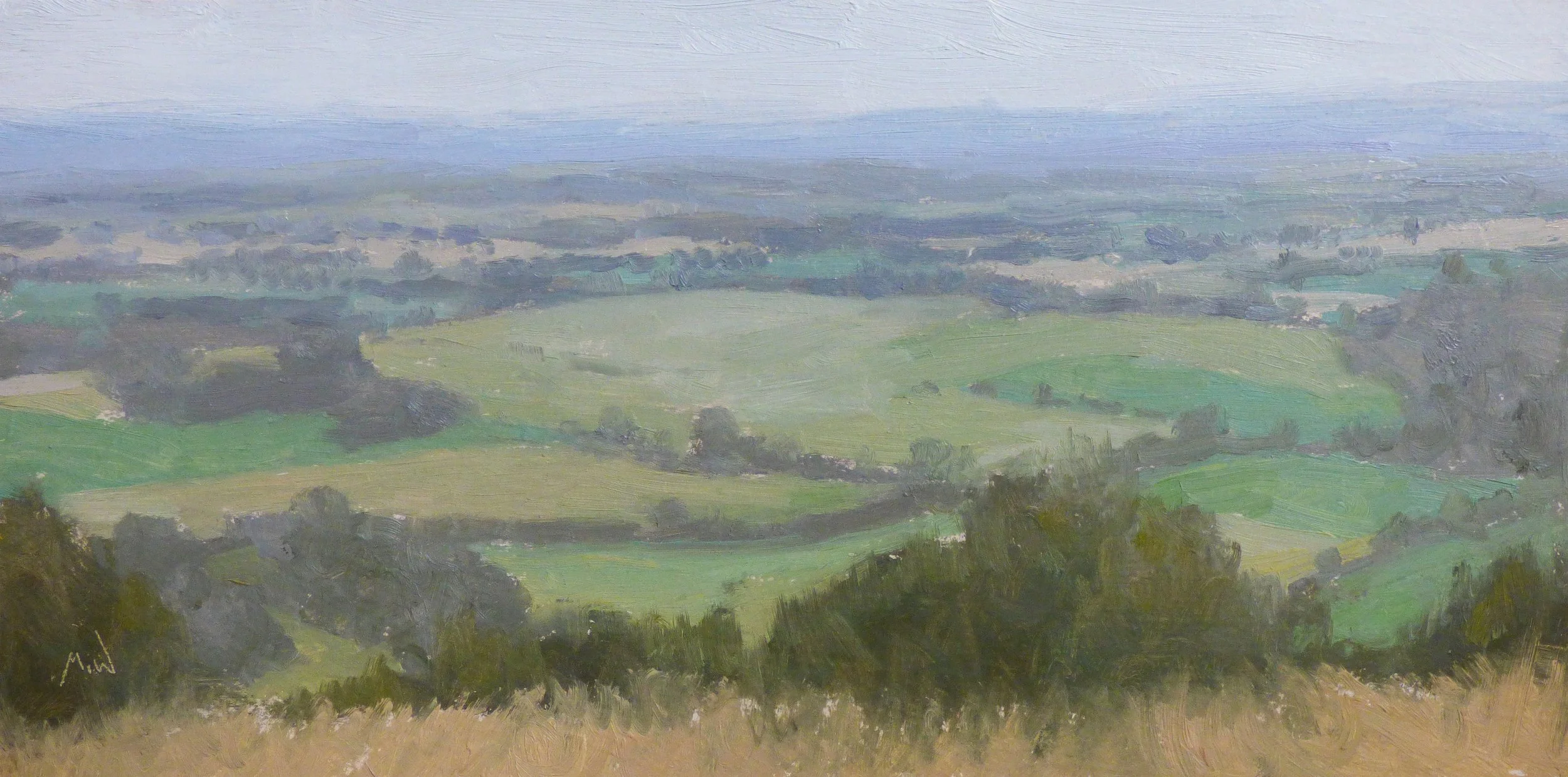 From Black Cap - 12 x 24 cm - Oil on Board - 2026 - AVAILABLE