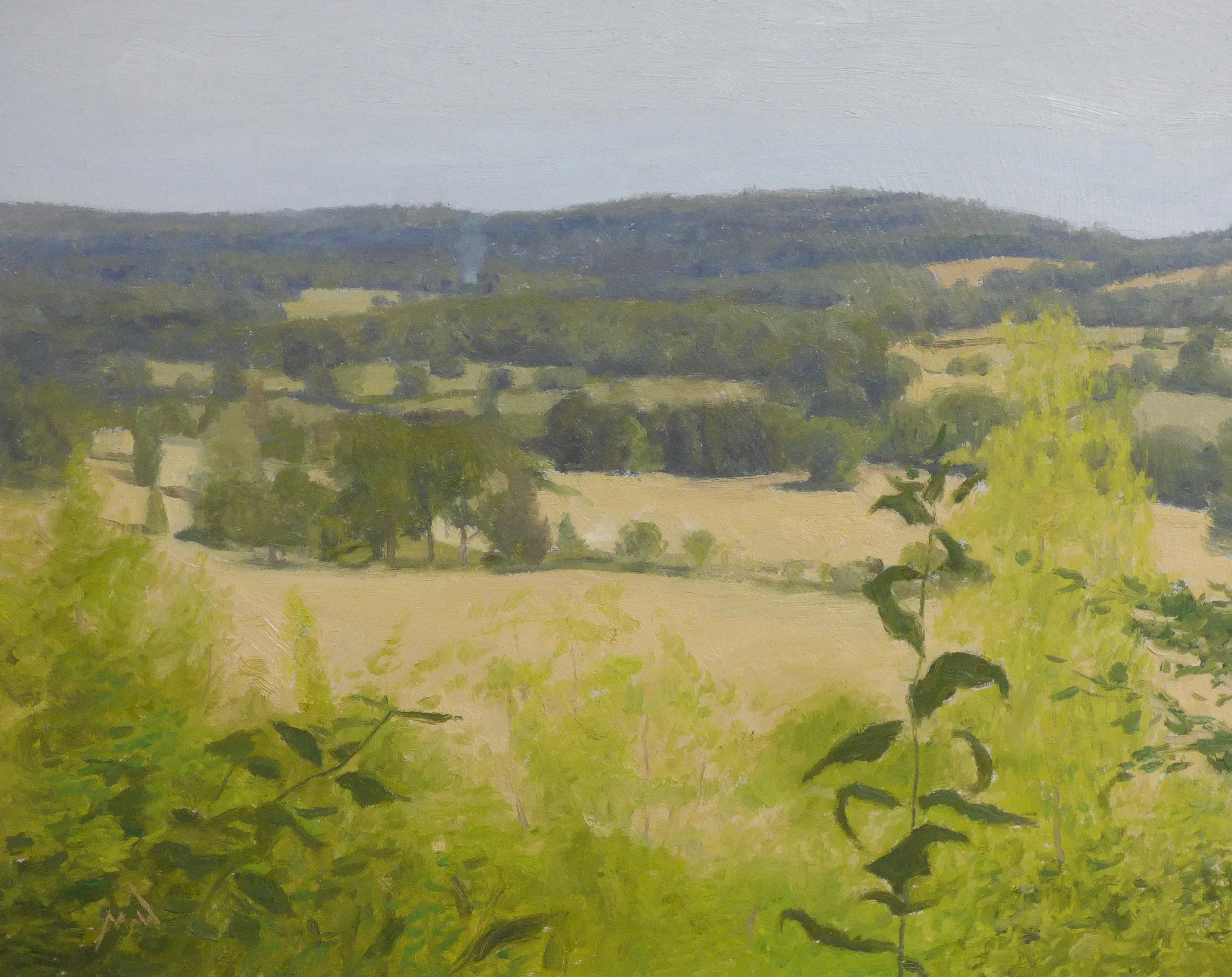 Ochre Fields - 24 x 30 cm - Oil on board - 2025 - AVAILABLE
