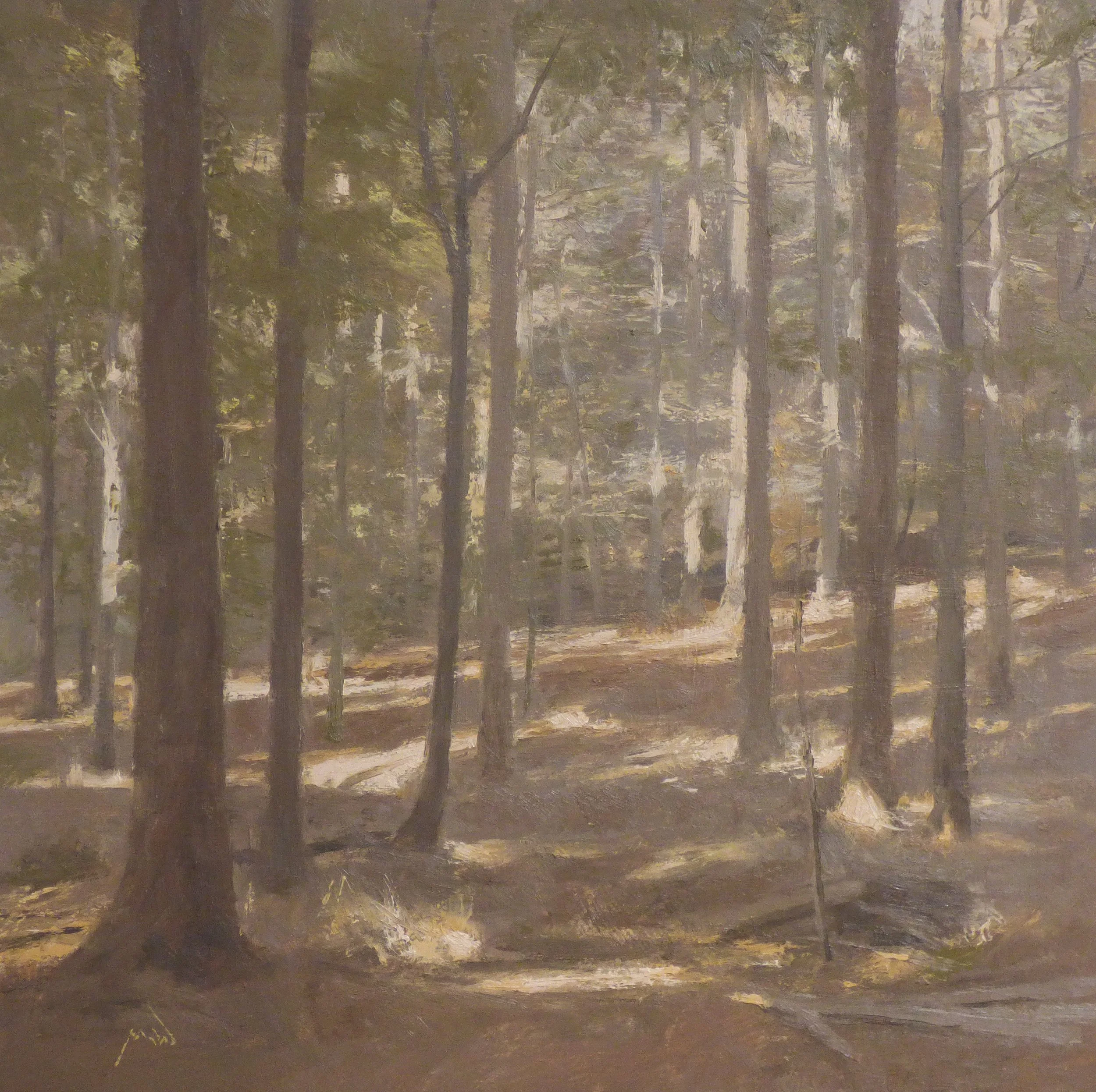 Pine Wood - 30 x 30 cm - Oil on panel - 2026 - SOLD
