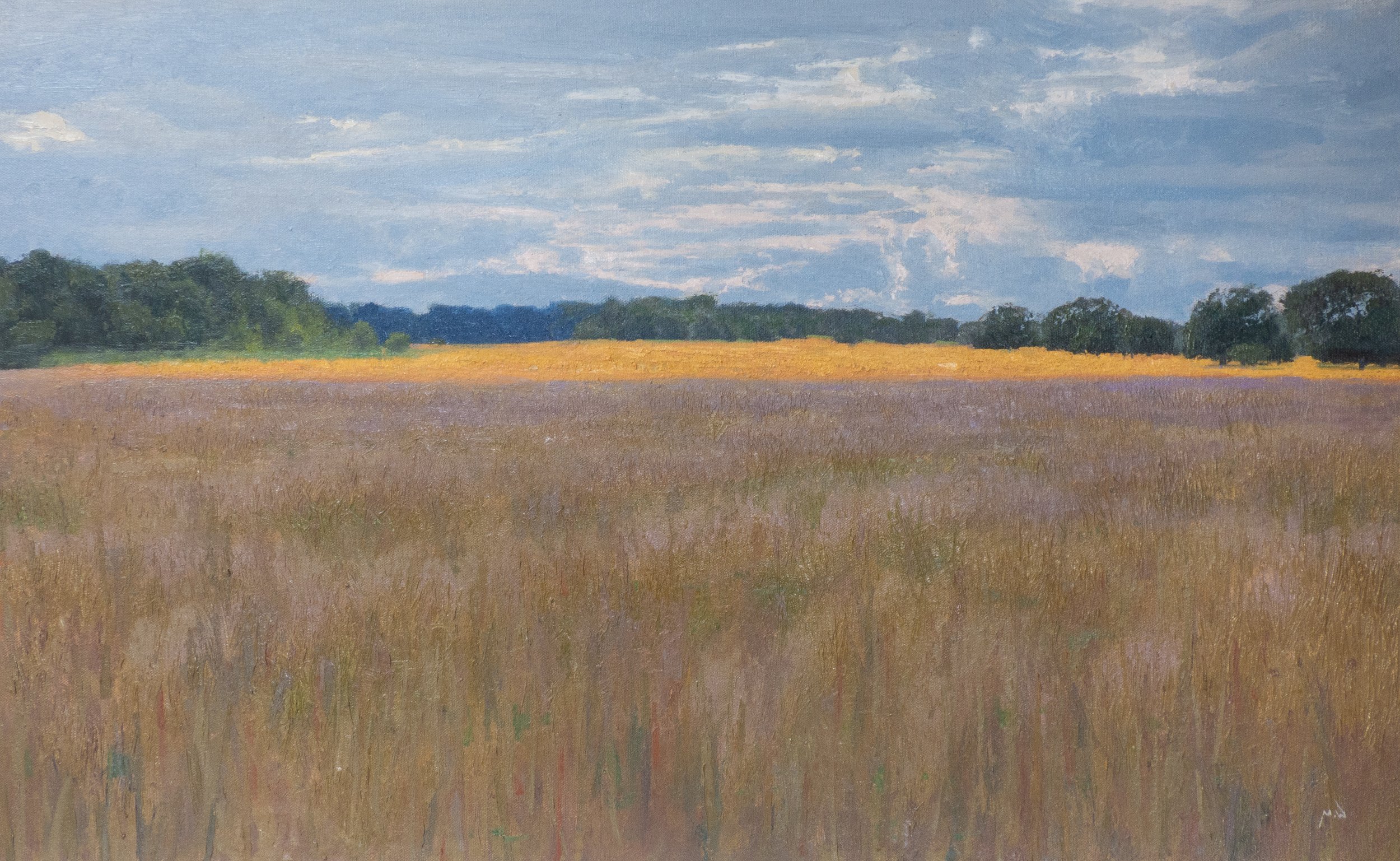 Breaking Sky - 2024 - 50 x 81 cm - Oil on Canvas - £1750 (unframed)