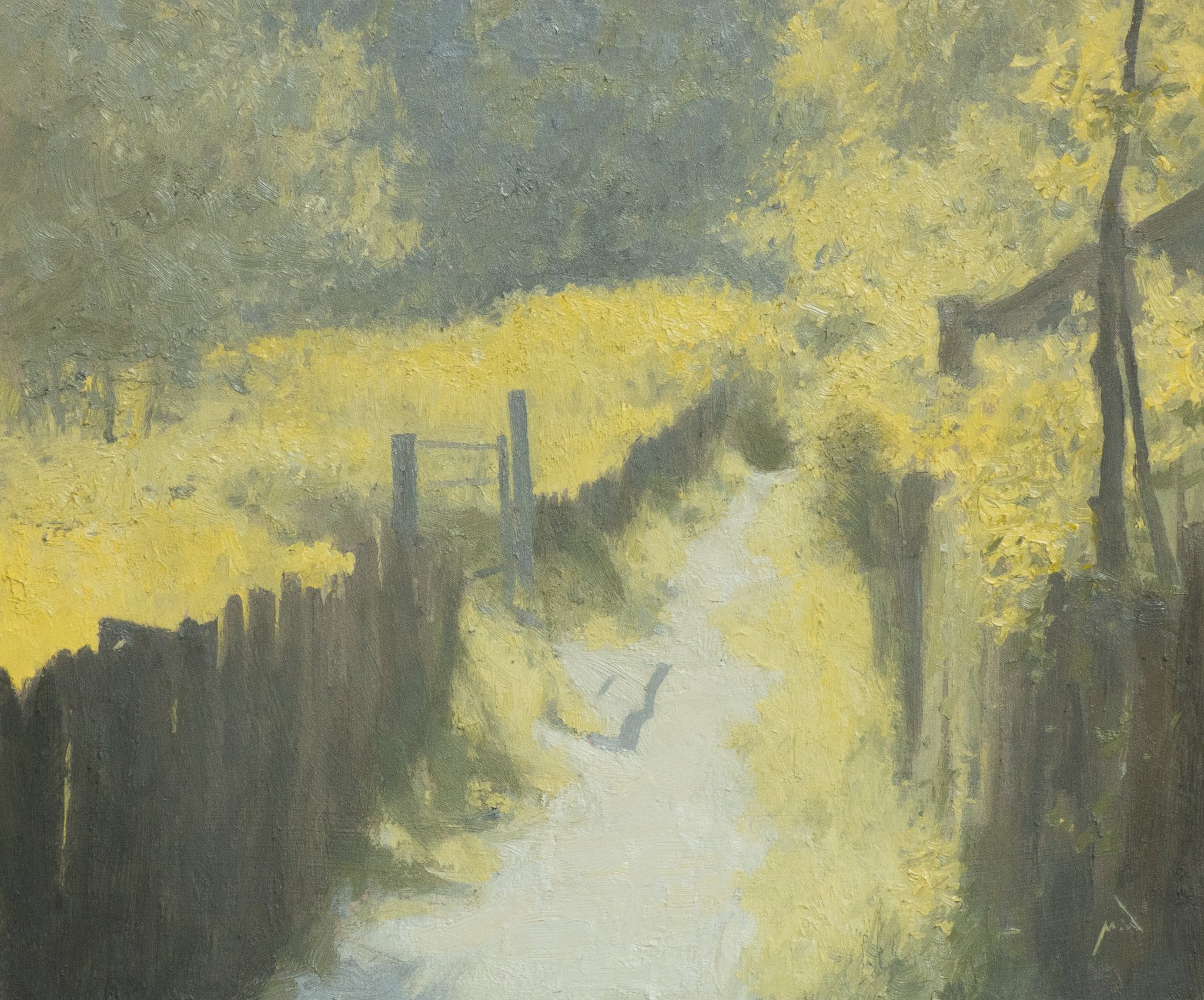 Summer Light - 2024 - 20 x 24 cm - Oil on Board - £425