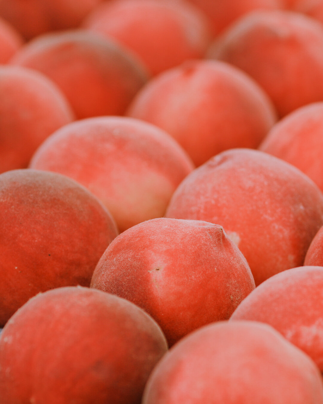 peaches at farmers market-2.jpg