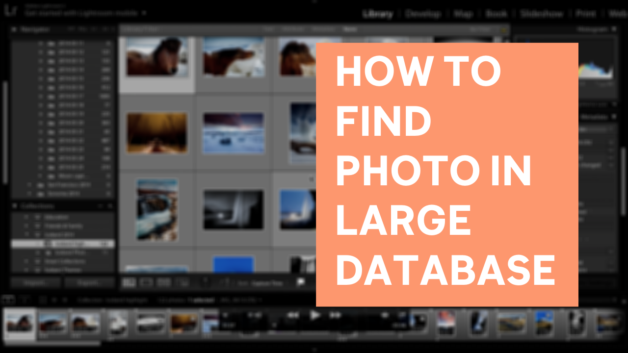 Step 5 - find photo in database.png