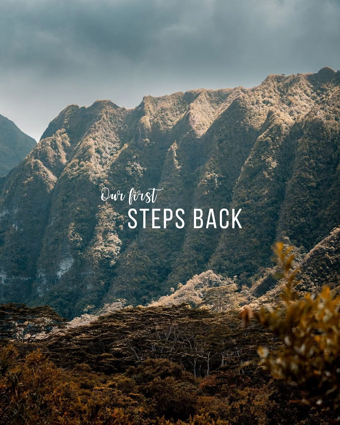 The past few weeks took us between hospitals, ERs, and therapy sessions&mdash;my husband&rsquo;s knee surgery, my son&rsquo;s digestive issues, life reminding us what really matters.

A few days ago, we took a family hike for the first time since Sep
