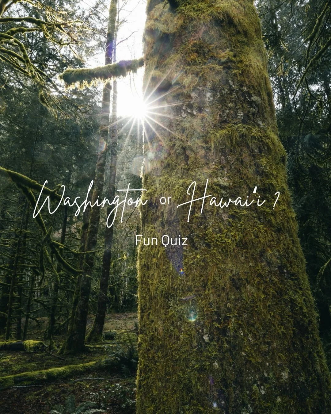 Exercise your photography eye.  Make a guess (I&rsquo;ll provide answer in comment)

These are from two forest hikes during spring break: one at Marymere Falls in Olympic National Park (Washington), the other at Lulumahu Falls on Oʻahu.

Two places, 