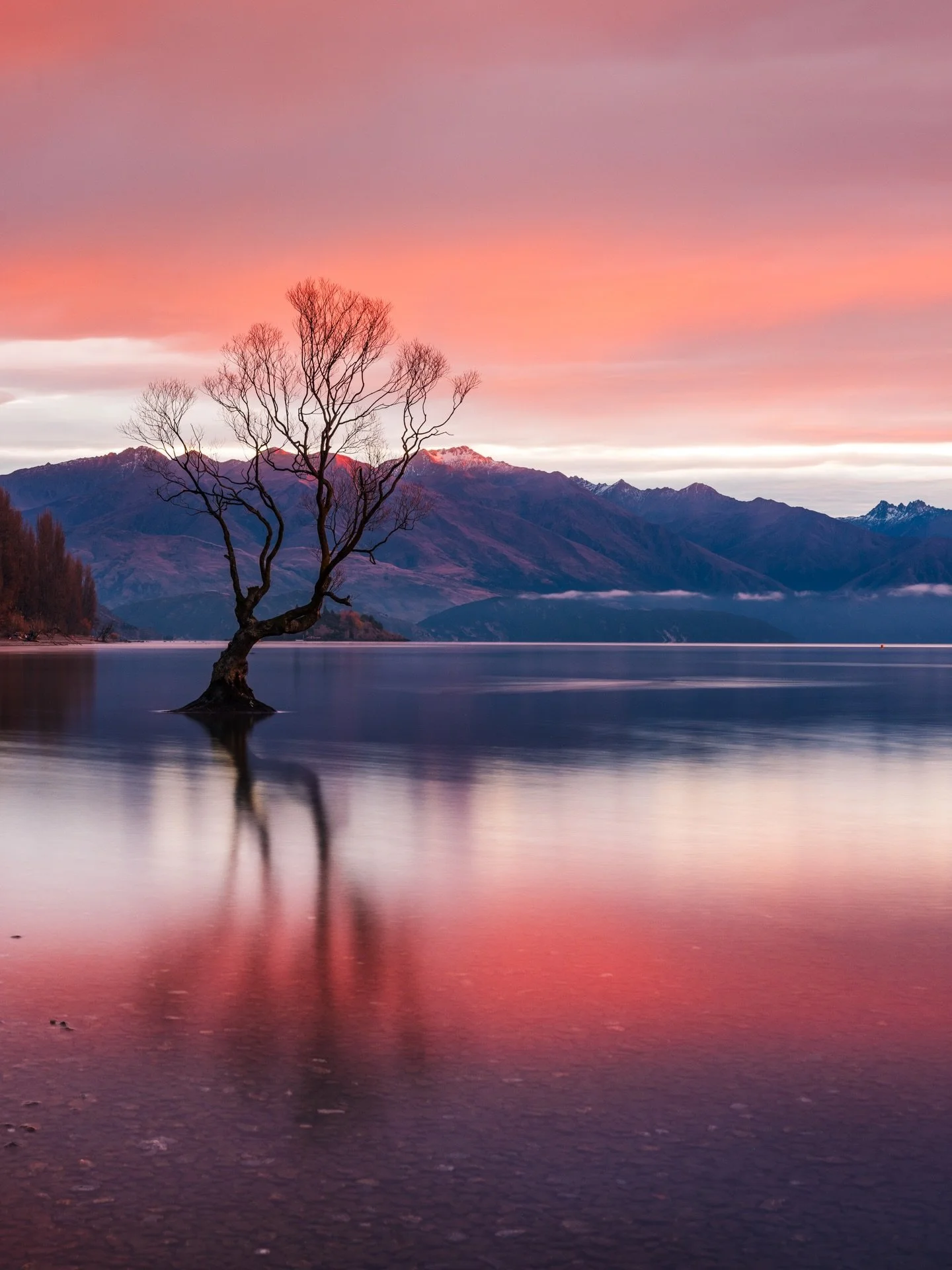 Probably one of the most photographed lone trees on this planet.  Even I know it might look like millions already photographed, I still had to do it in my own version this morning to kick off our New Zealand South Island road trip.

The whole session