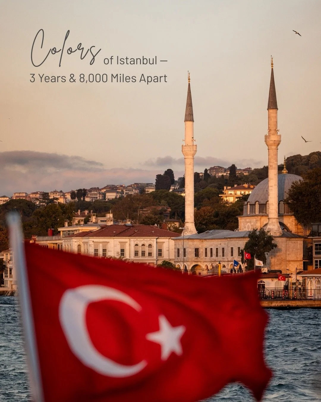 Istanbul Hawaiʻi brought me back to the Istanbul I photographed three years ago &mdash; mostly through color.

Warm reds, blues, gold, texture, food and light.

Odd numbers are the real Istanbul.  Even numbers are Istanbul Hawai&rsquo;i. 

Color deci