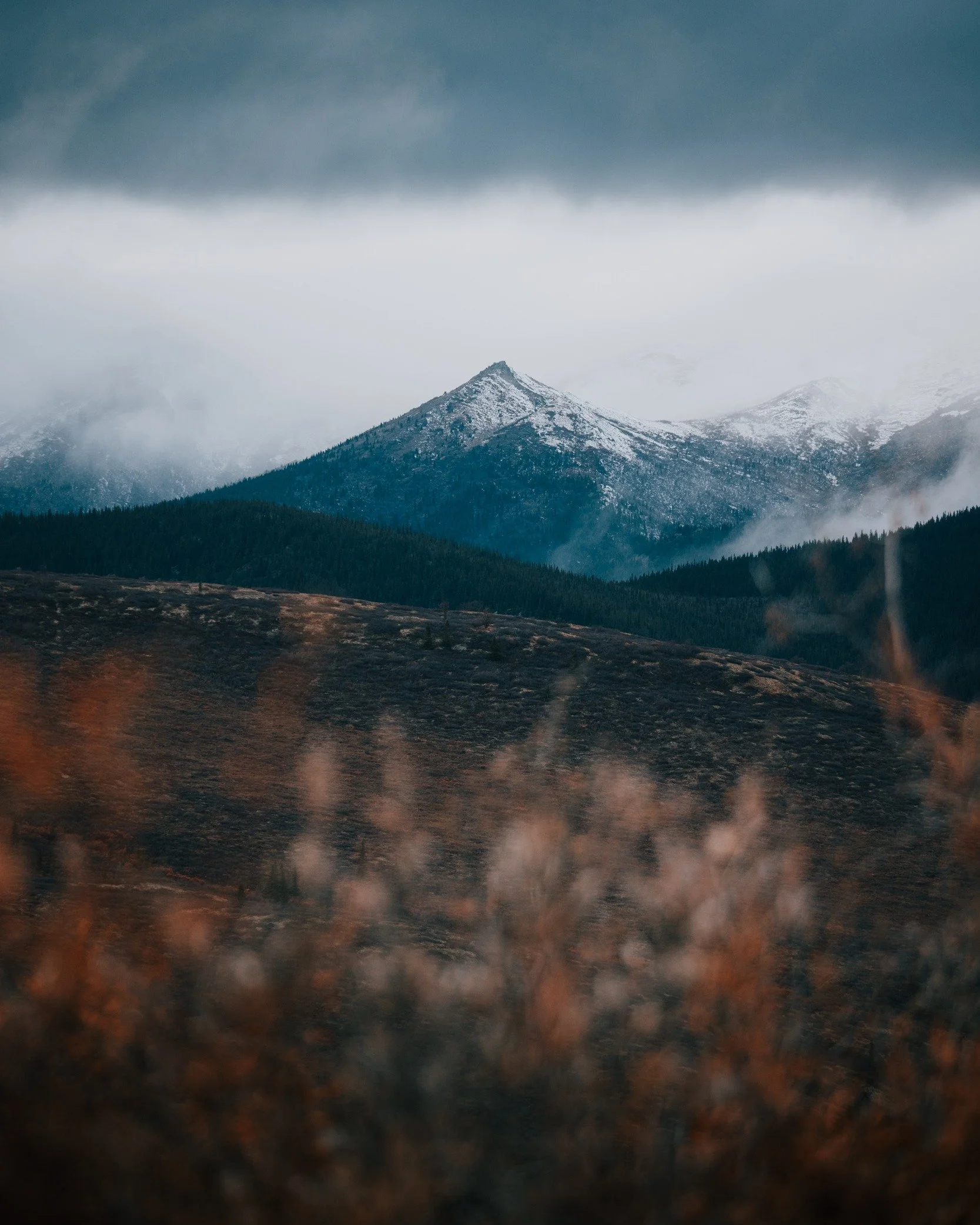 Tail end shade of fall colors
.
.
.
#denalinationalpark #fallcolor #octoberphotoaday