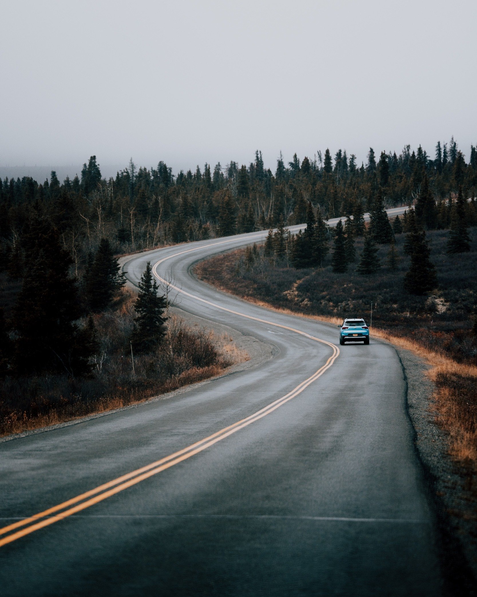 There's must be something about road I really like. I've photographed many roads in the past 2 decades. This is just a small fraction of what I captured this week in Denali.
.
.
.
#roadphotography #alaskaroadtrip #denalinationalpark