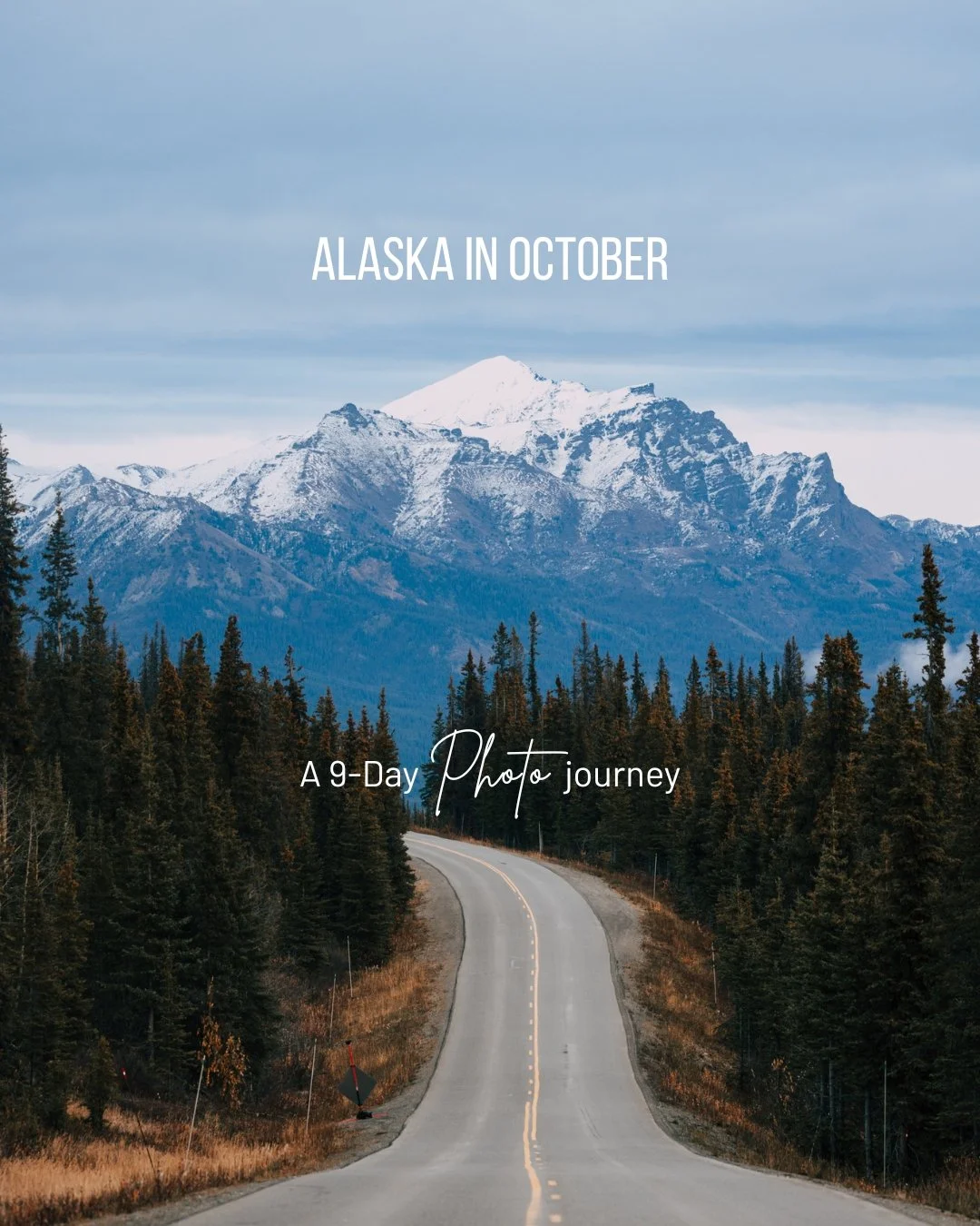 9 days of photographing Alaska in October.

Rain, fog, fall color, snow, wildlife, glaciers, mountains, lakes, and the northern lights.

Here&rsquo;s what I captured, day by day, through my lens. 📷

Check my blog for more details {link in bio}
.
.
.