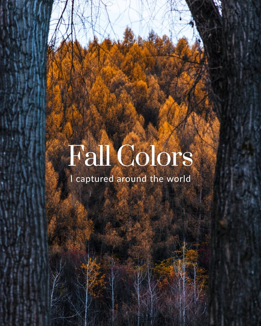 Fall color doesn&rsquo;t look the same everywhere, or arrive on the same schedule.

These are some of the fall scenes I&rsquo;ve photographed from early October through mid-November in different parts of the world, across different years, some dating