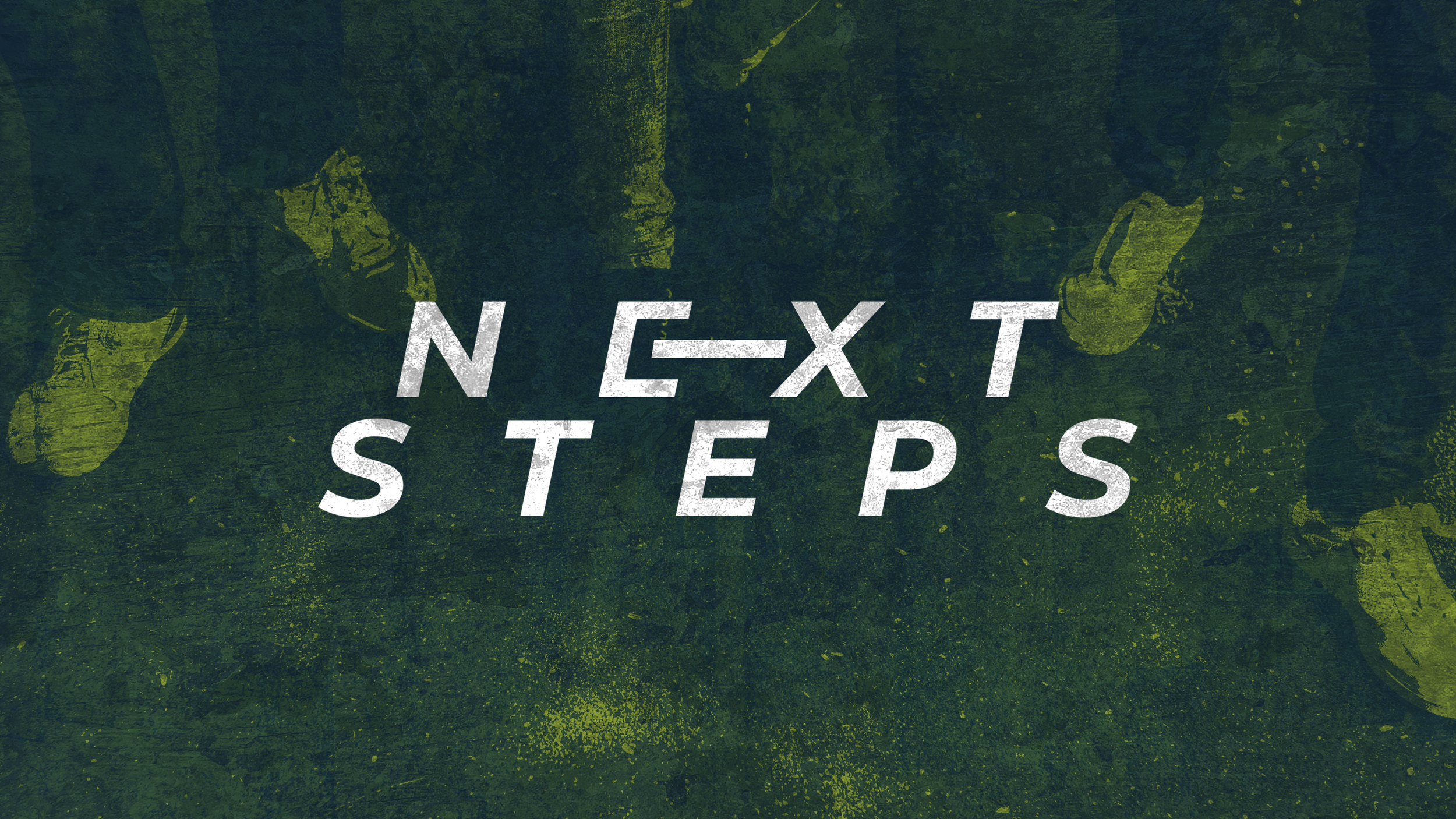NEXT STEPS
