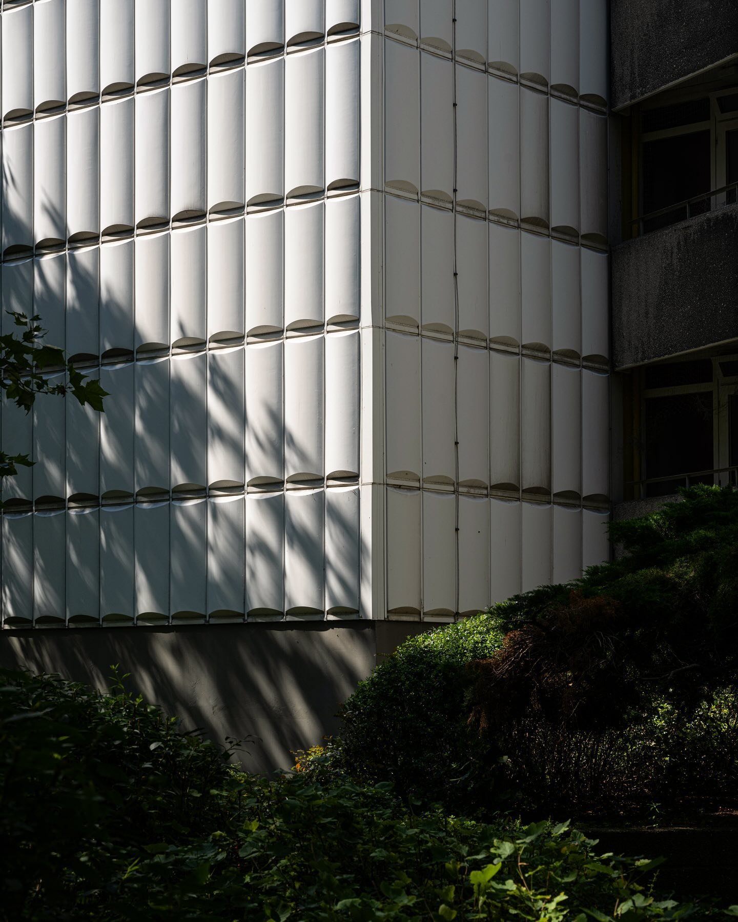 Just a corner shining in summer lights.