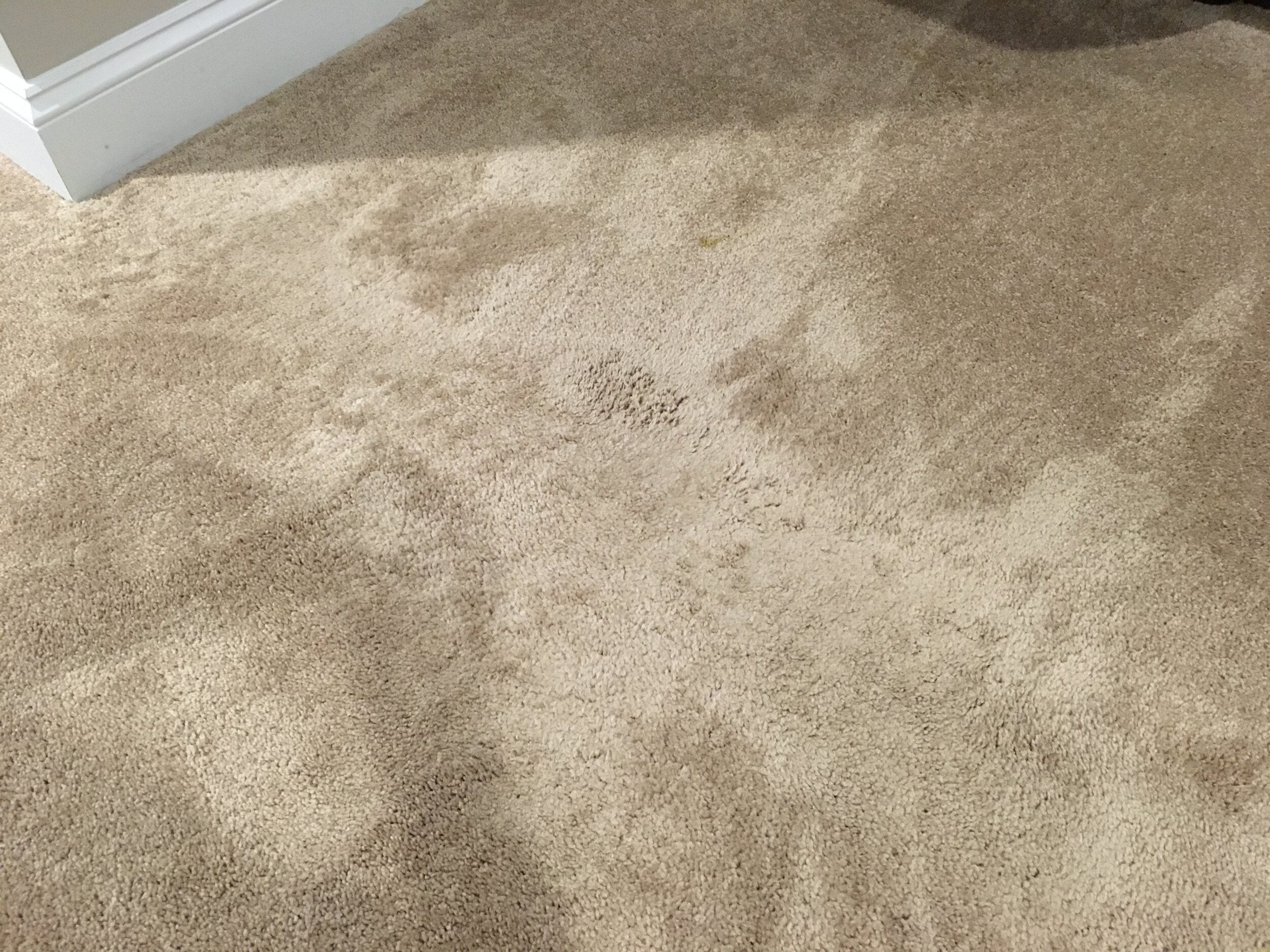 ugly worn out carpet.jpeg