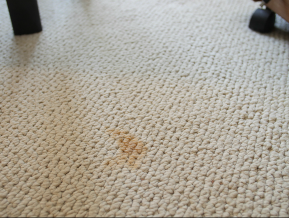 stained carpet.jpeg