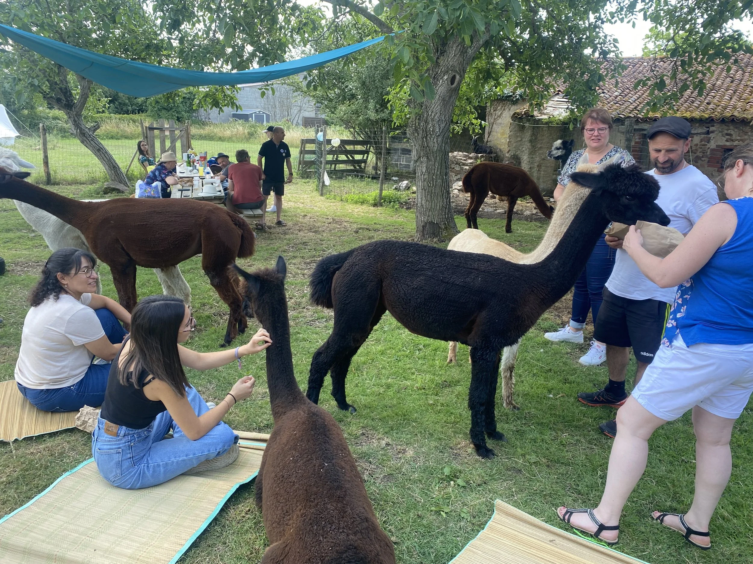 Family picnic at the farm.jpg