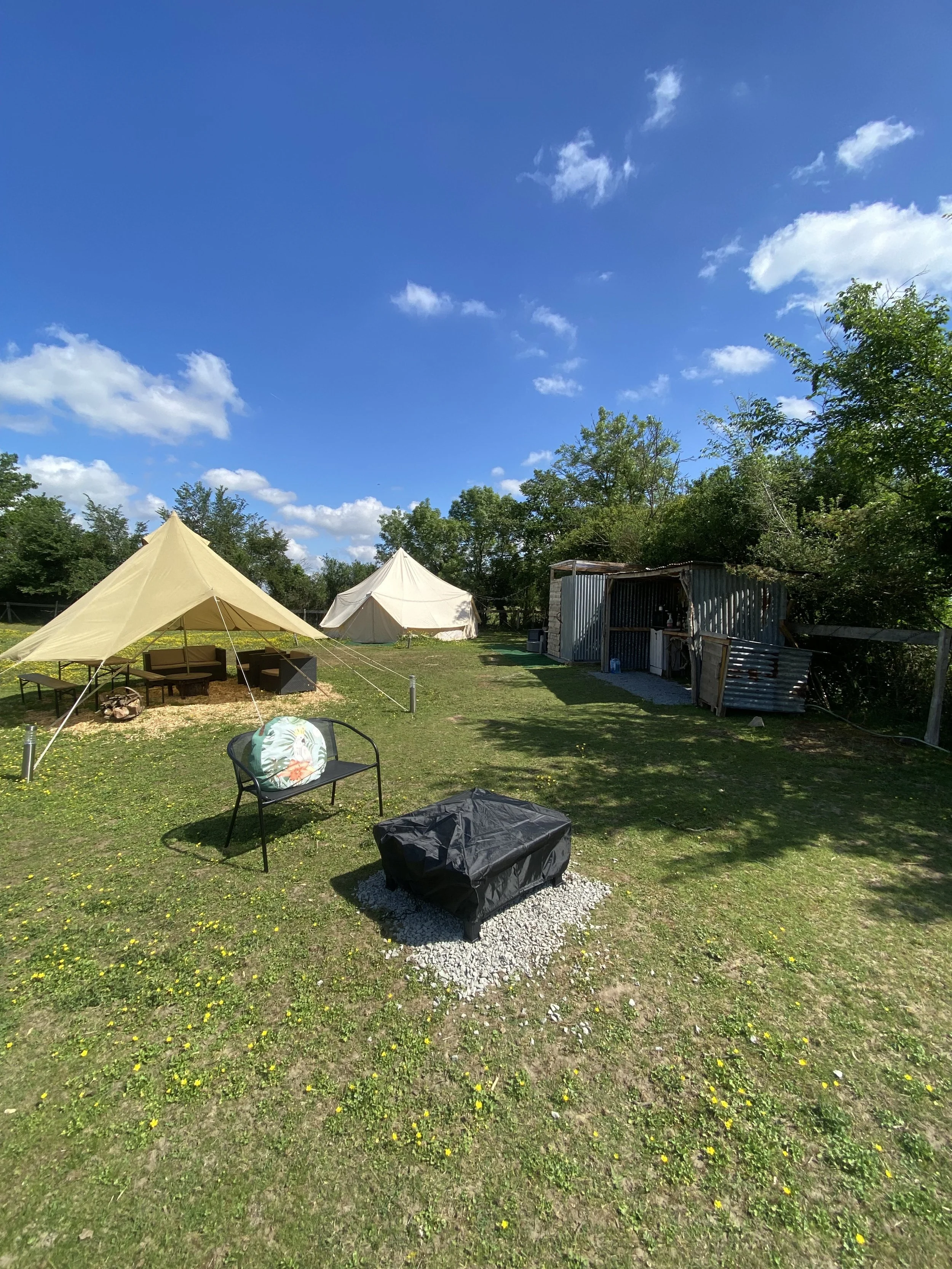 Glamping with alpacas view.jpeg