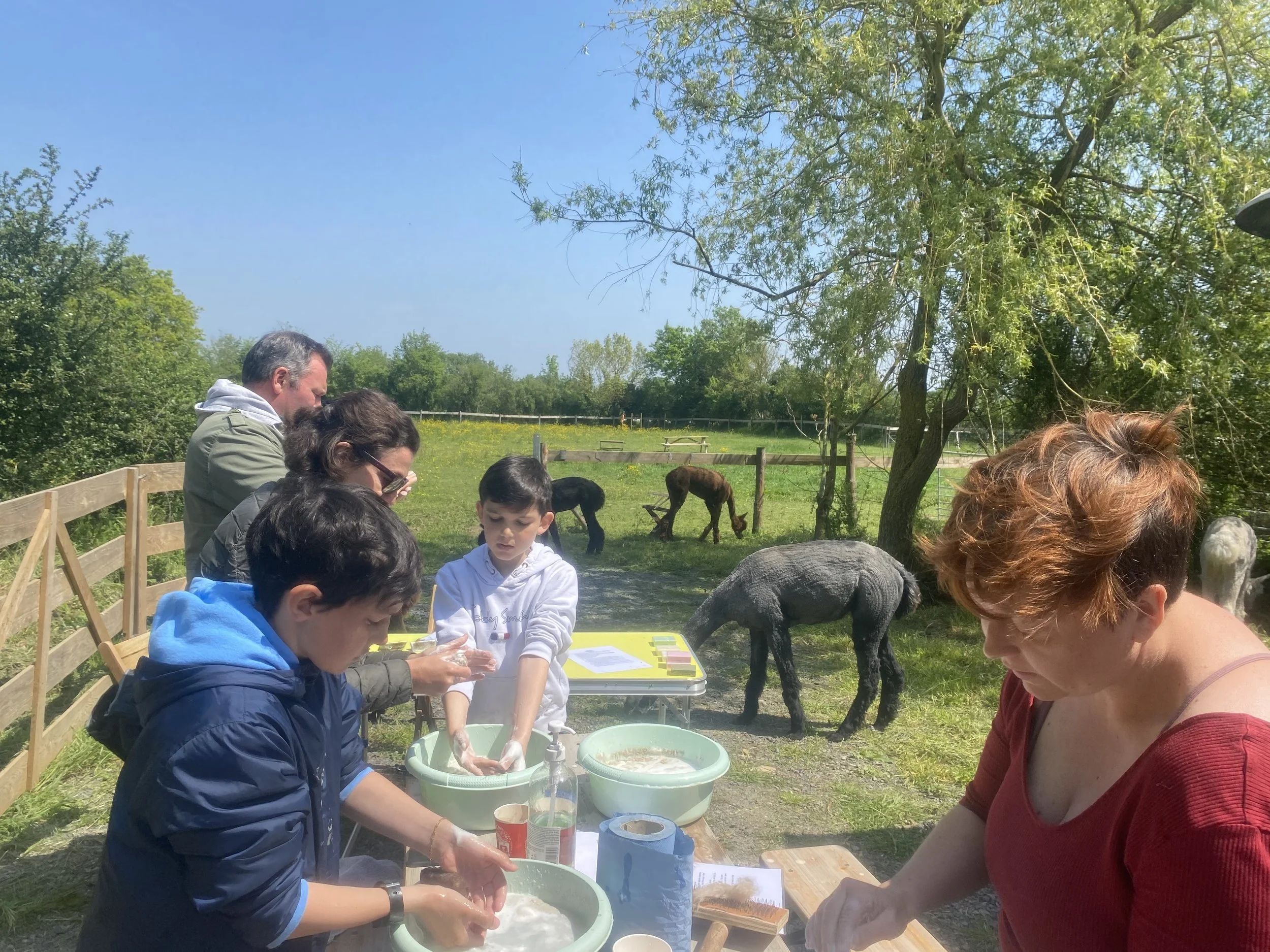 Workshop for family.jpg