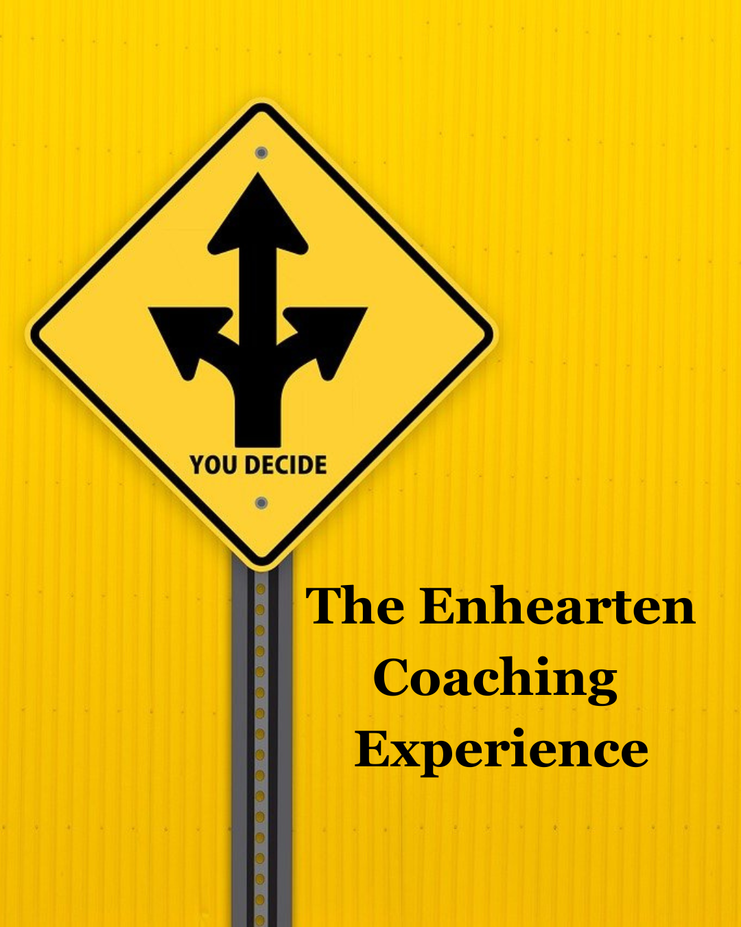 The Coaching Experience.png
