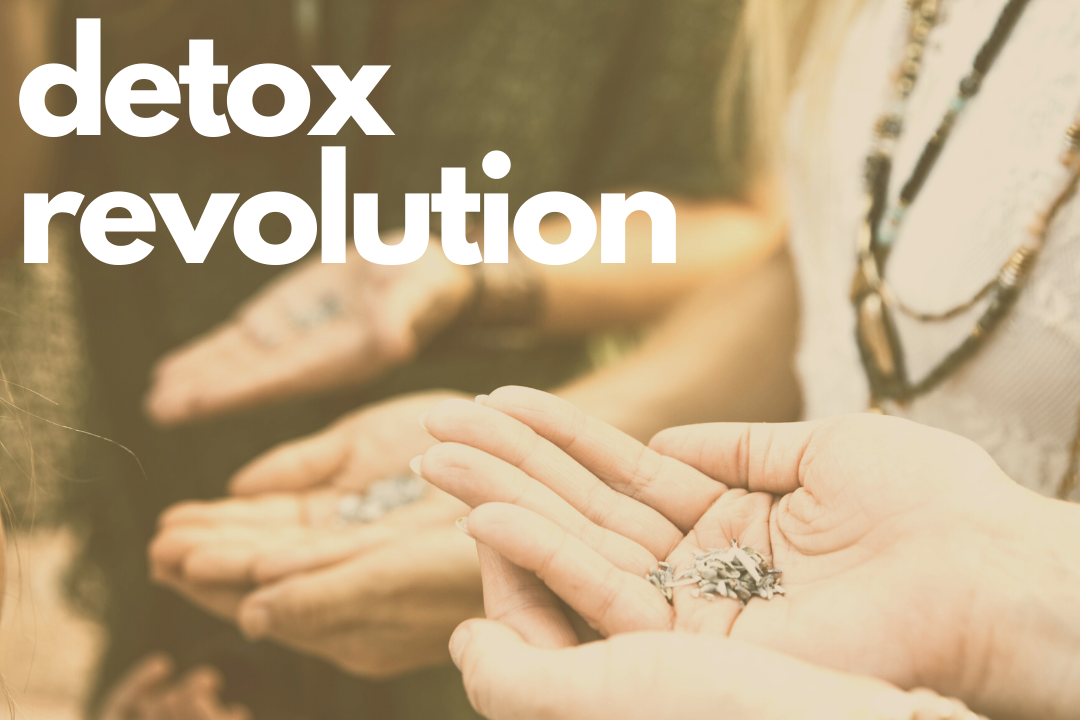 Detox Revolution Course - Heal Your Body