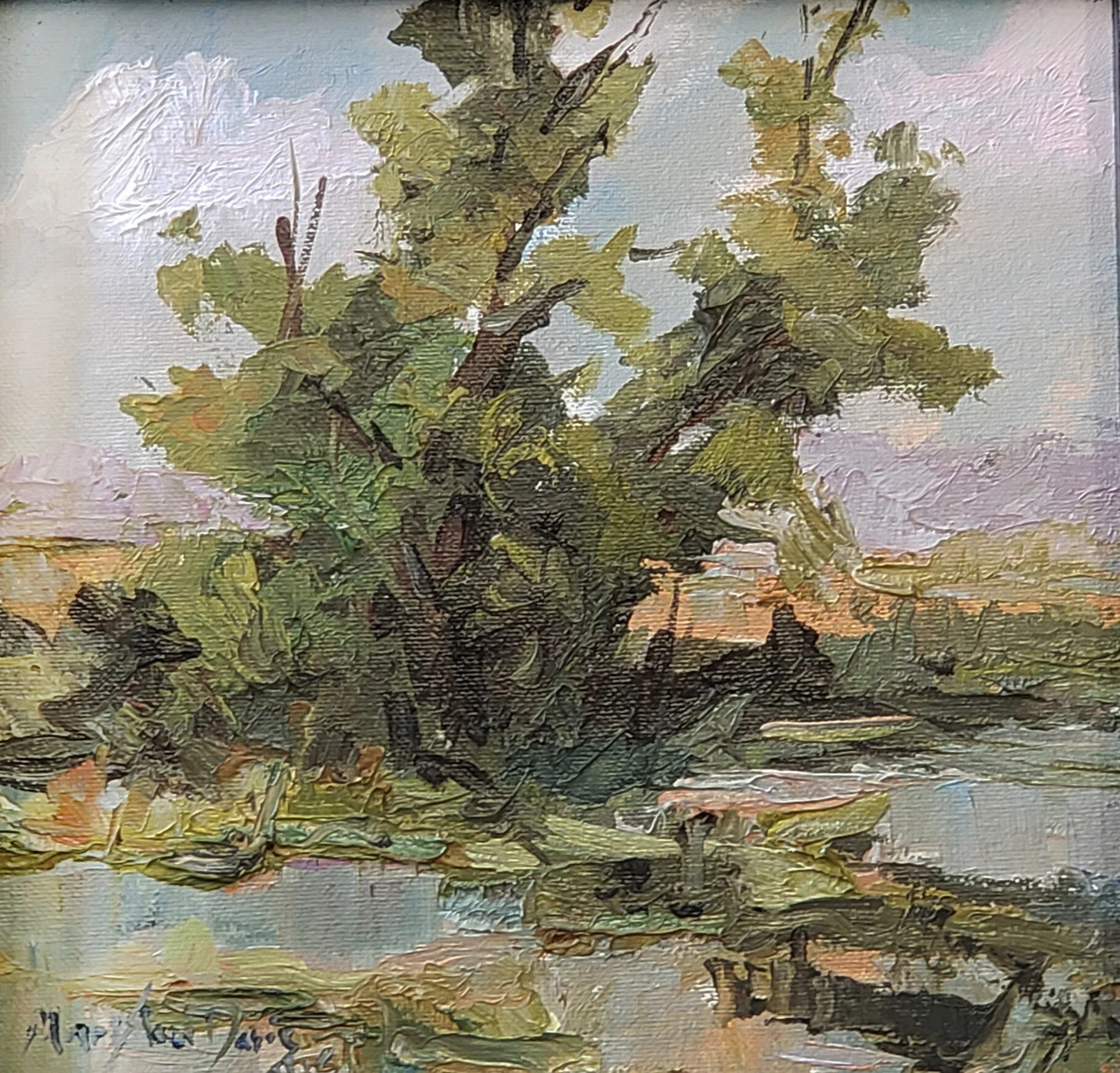 tree at creek.jpg